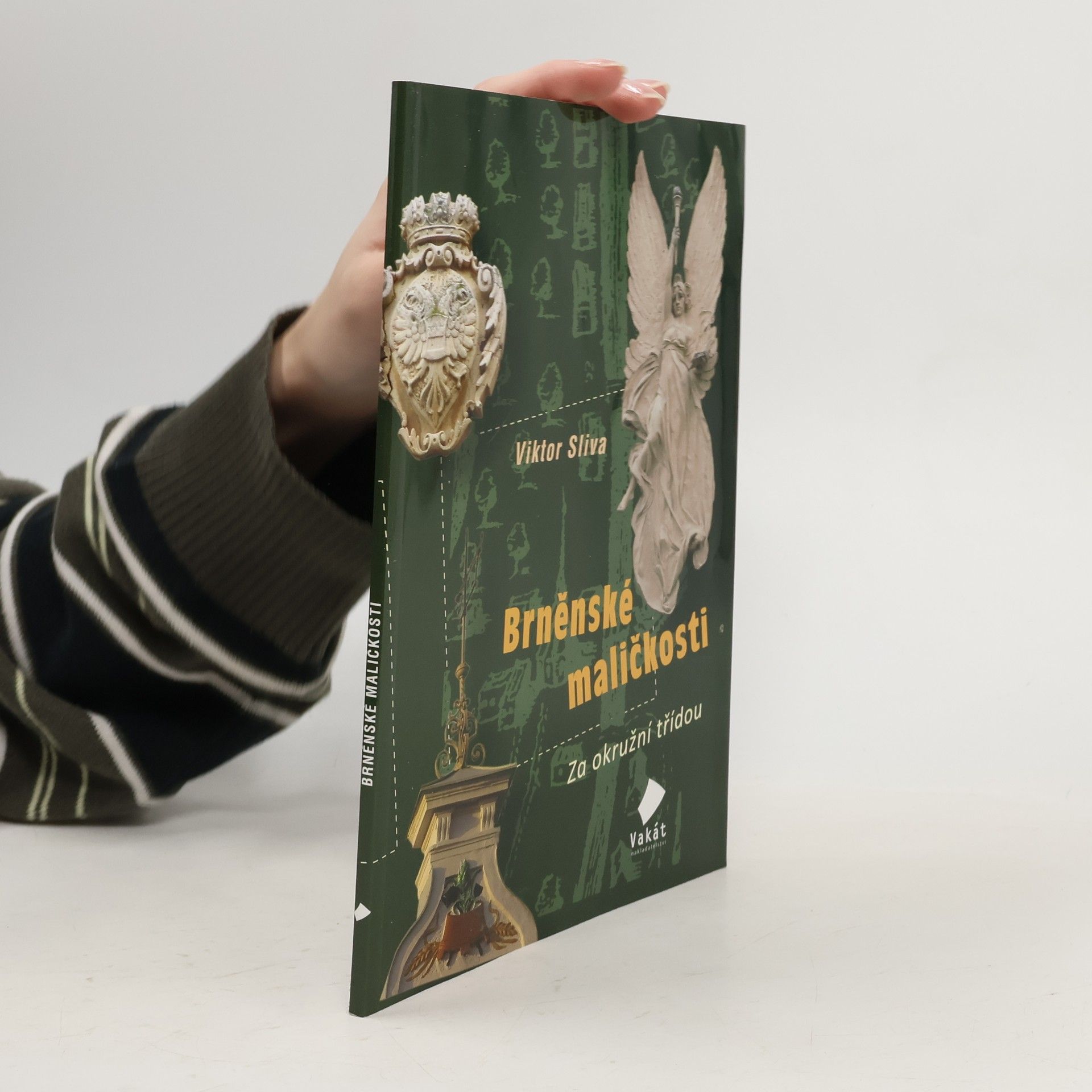 Brněnské maličkosti - Za okružní třídou