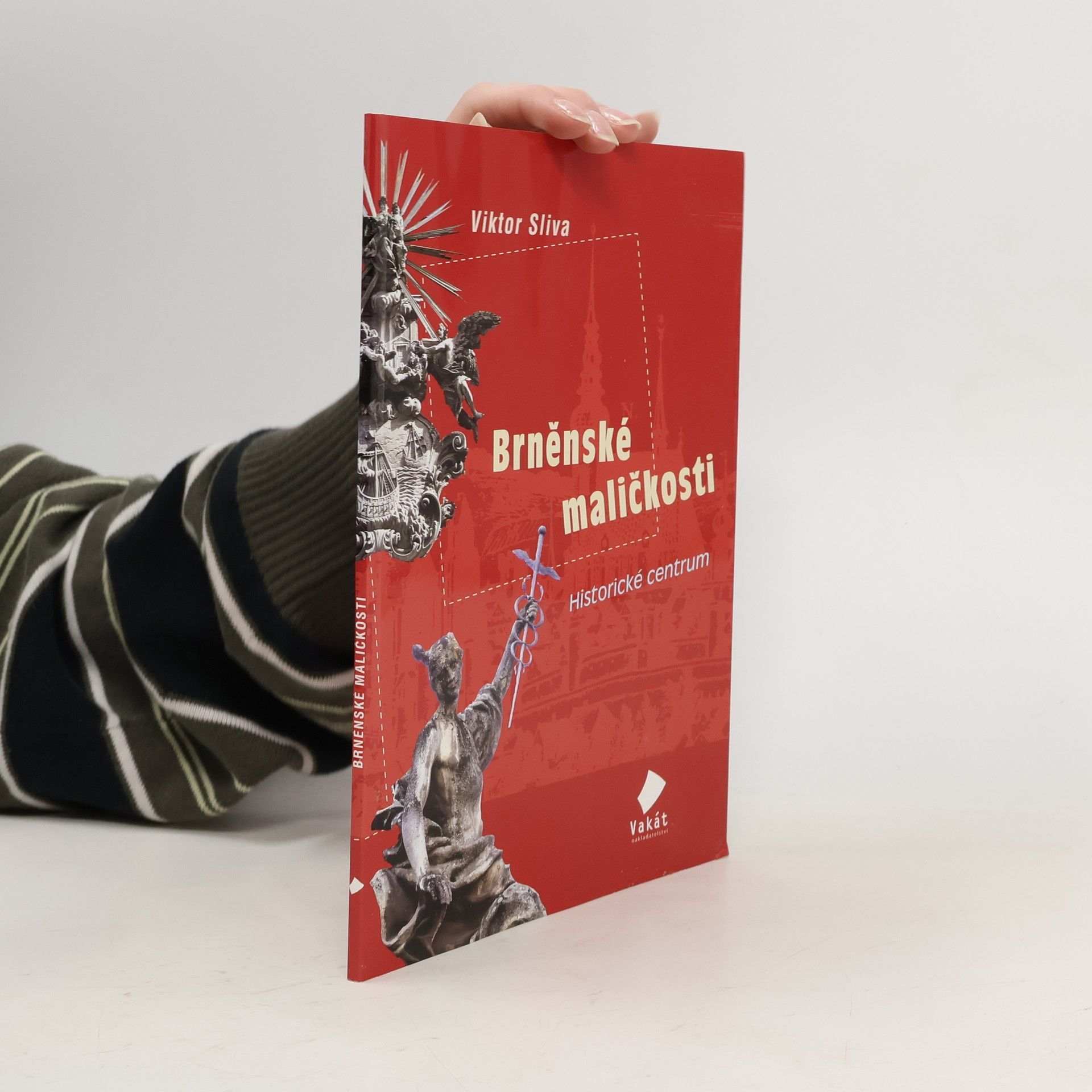 Viktor Sliva Brněnské maličkosti - Historické centrum