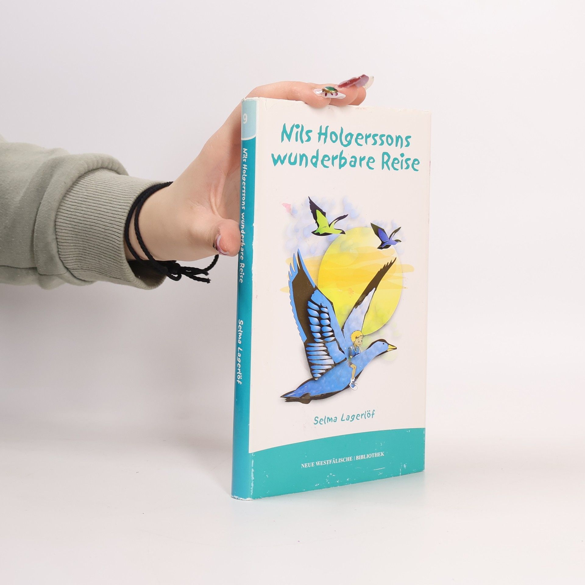 Selma Lagerlöf Nils Holgerssons wunderbare Reise