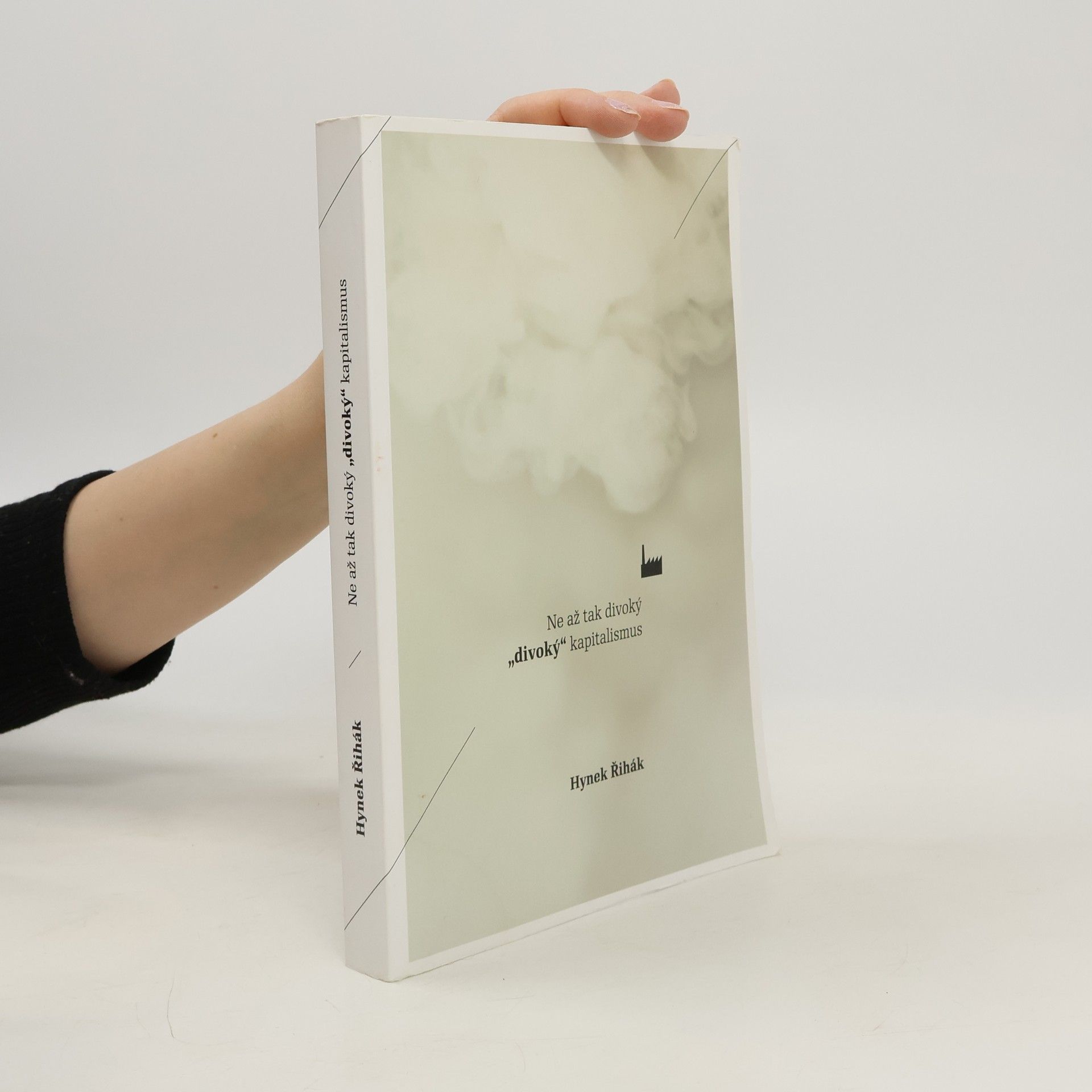 Ne až tak divoký "divoký" kapitalismus