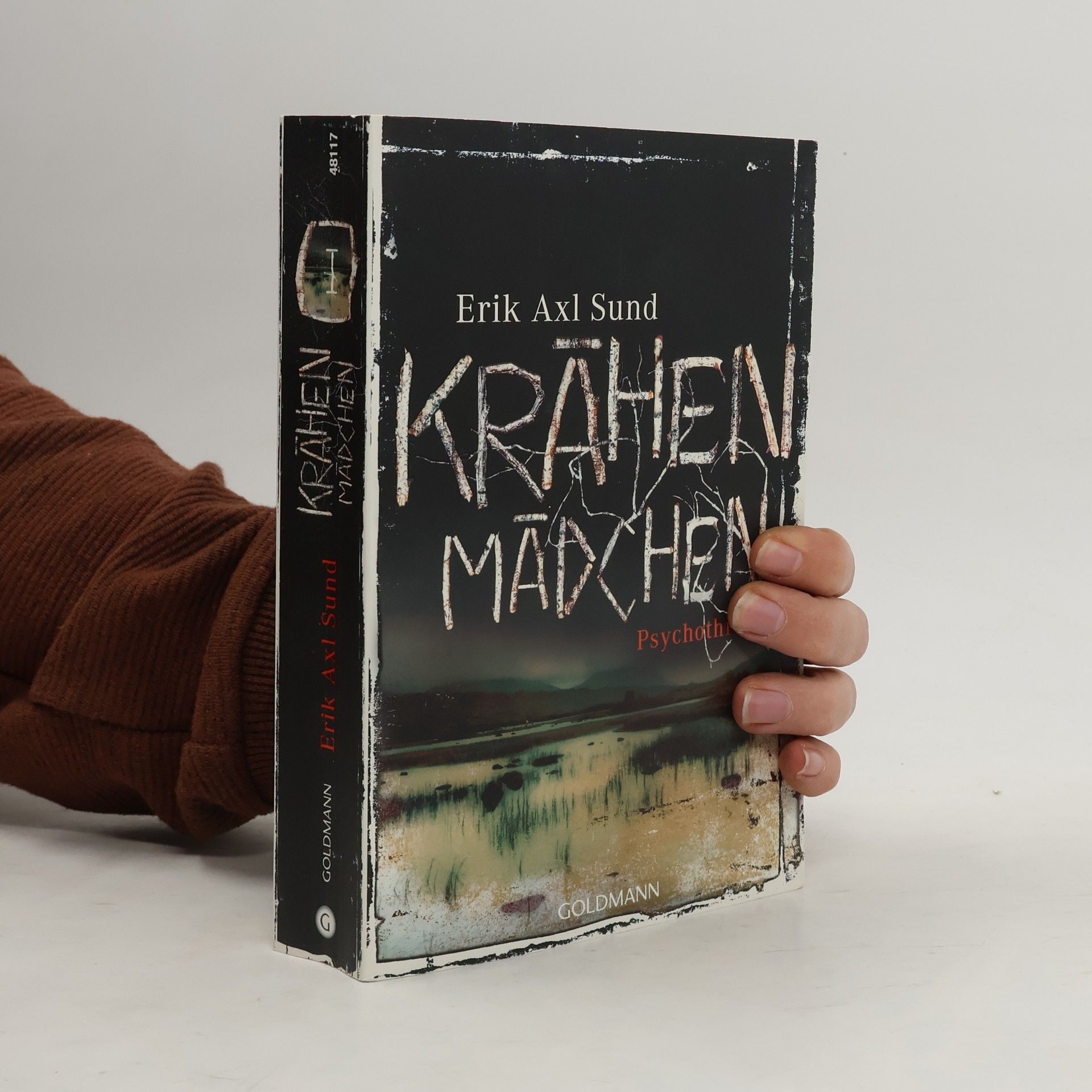 Erik Axl Sund Krähenmädchen