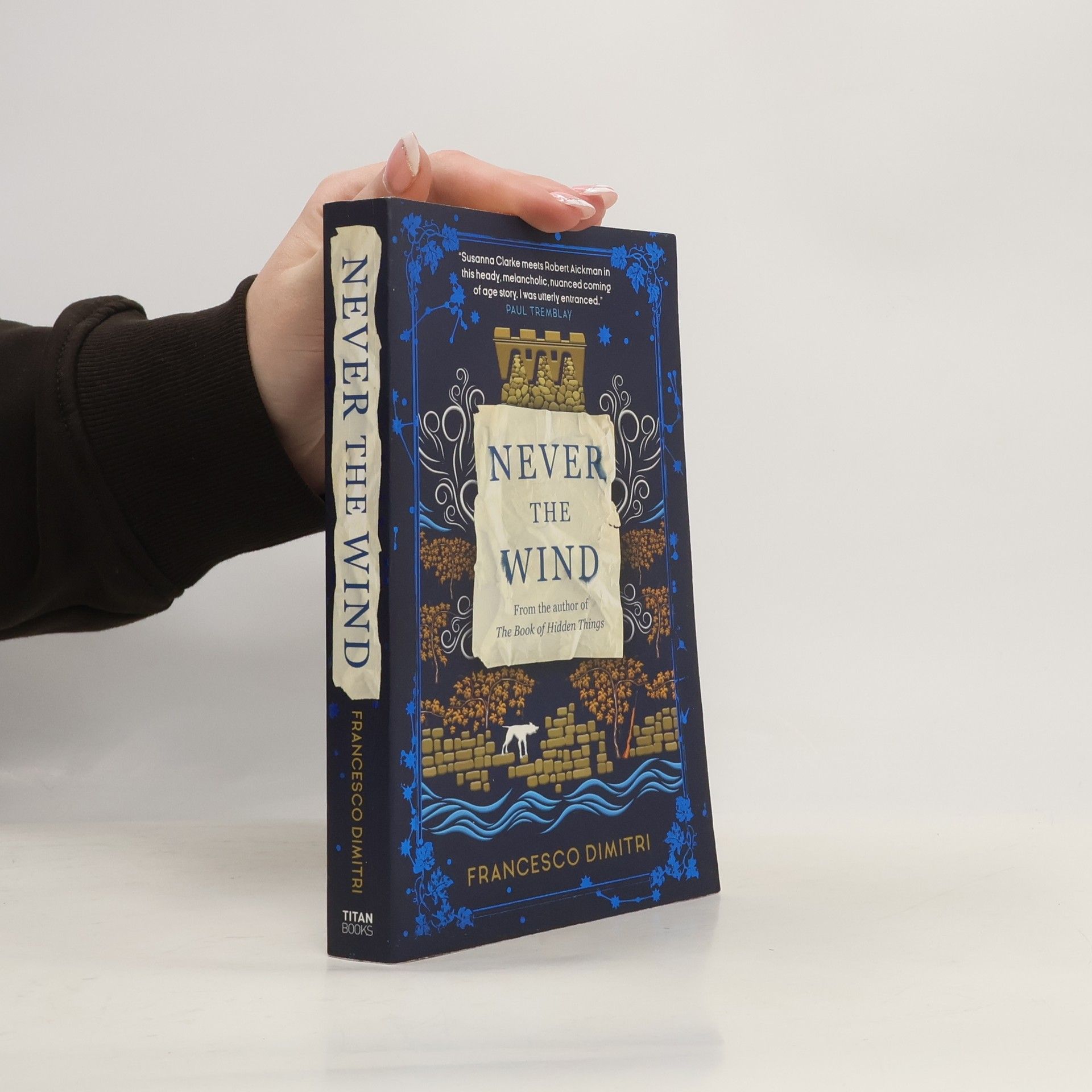 Francesco Dimitri Never the Wind