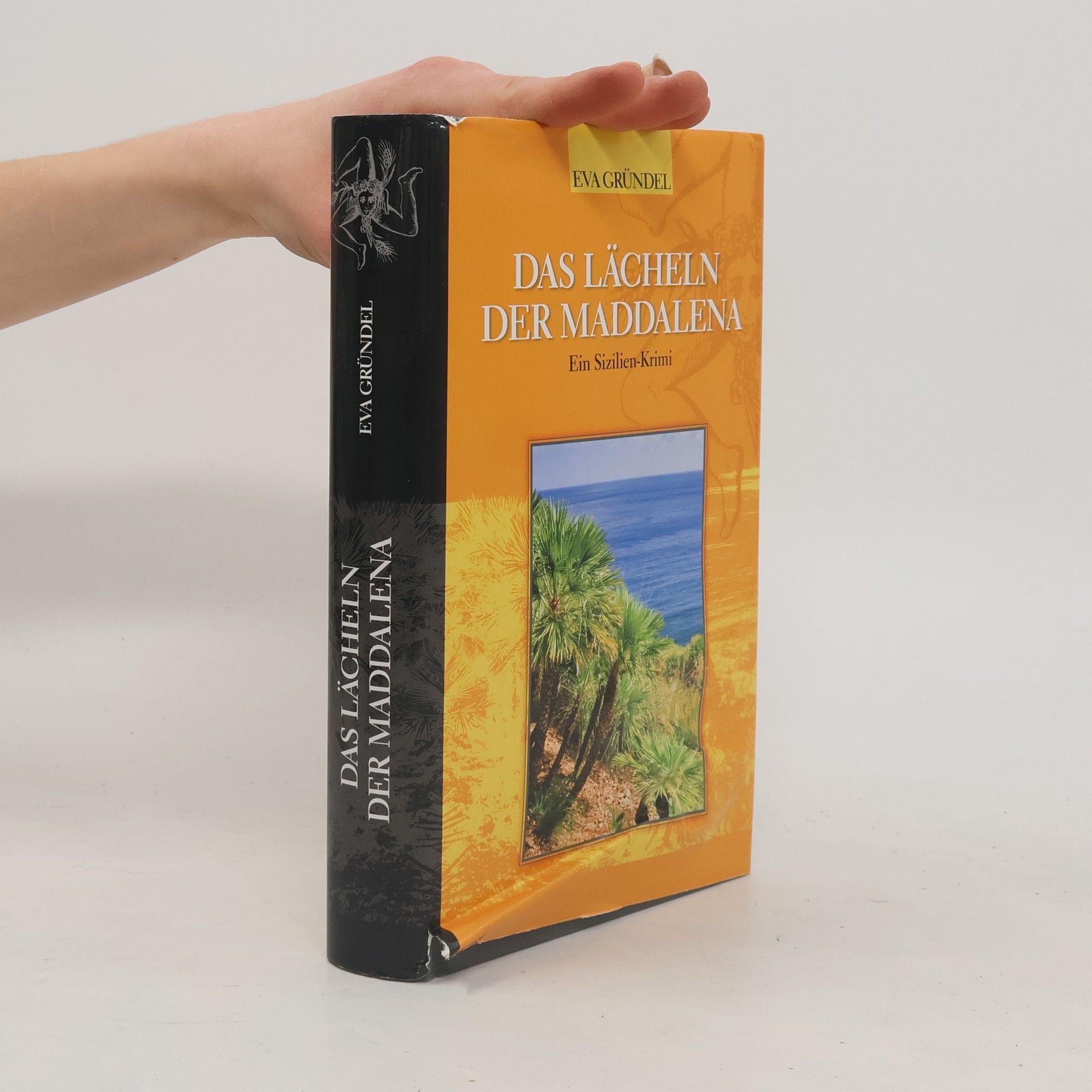 Das Lächeln der Maddalena: Ein Sizilien-Krimi