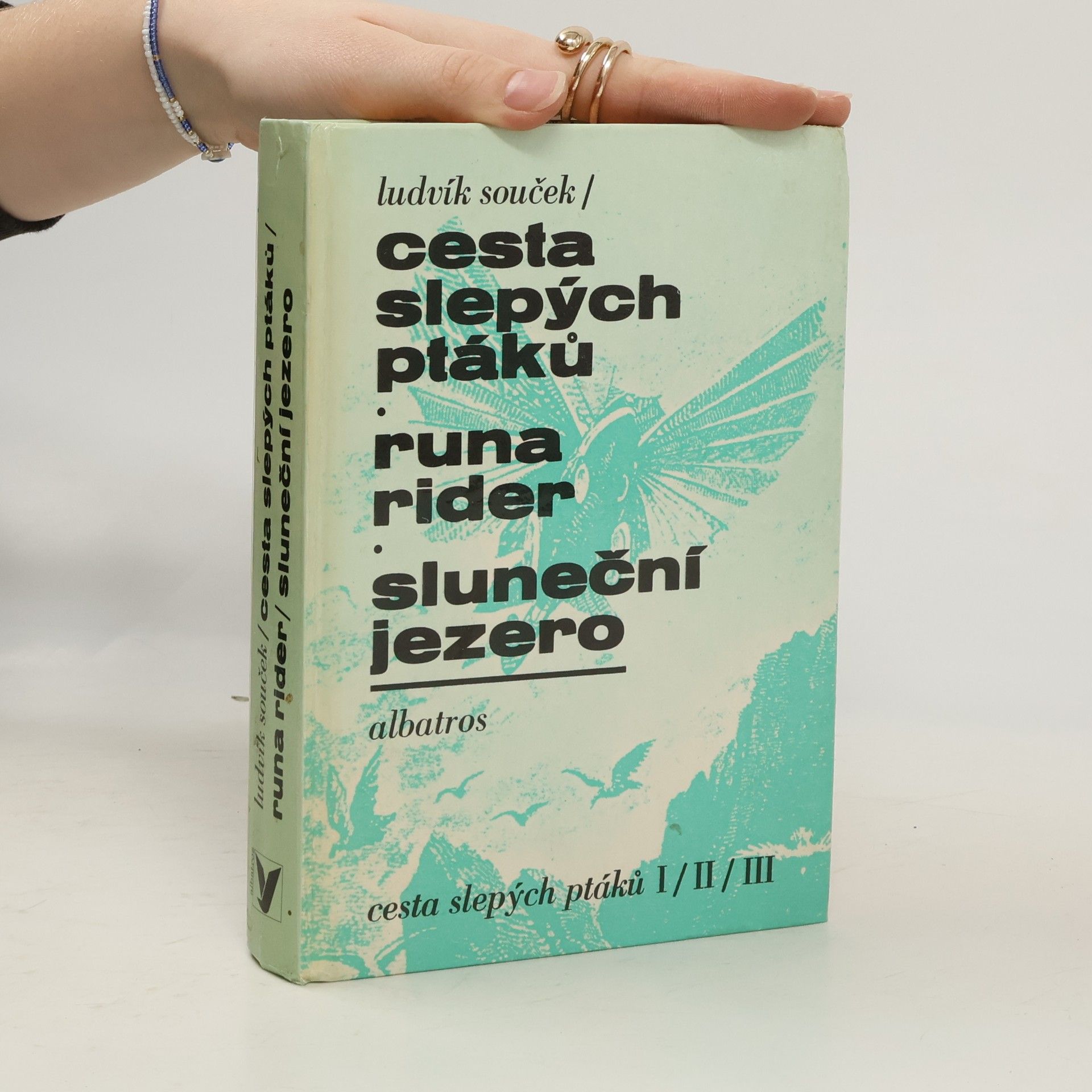 Ludvík Souček Cesta slepých ptáků, Runa rider, Sluneční jezero