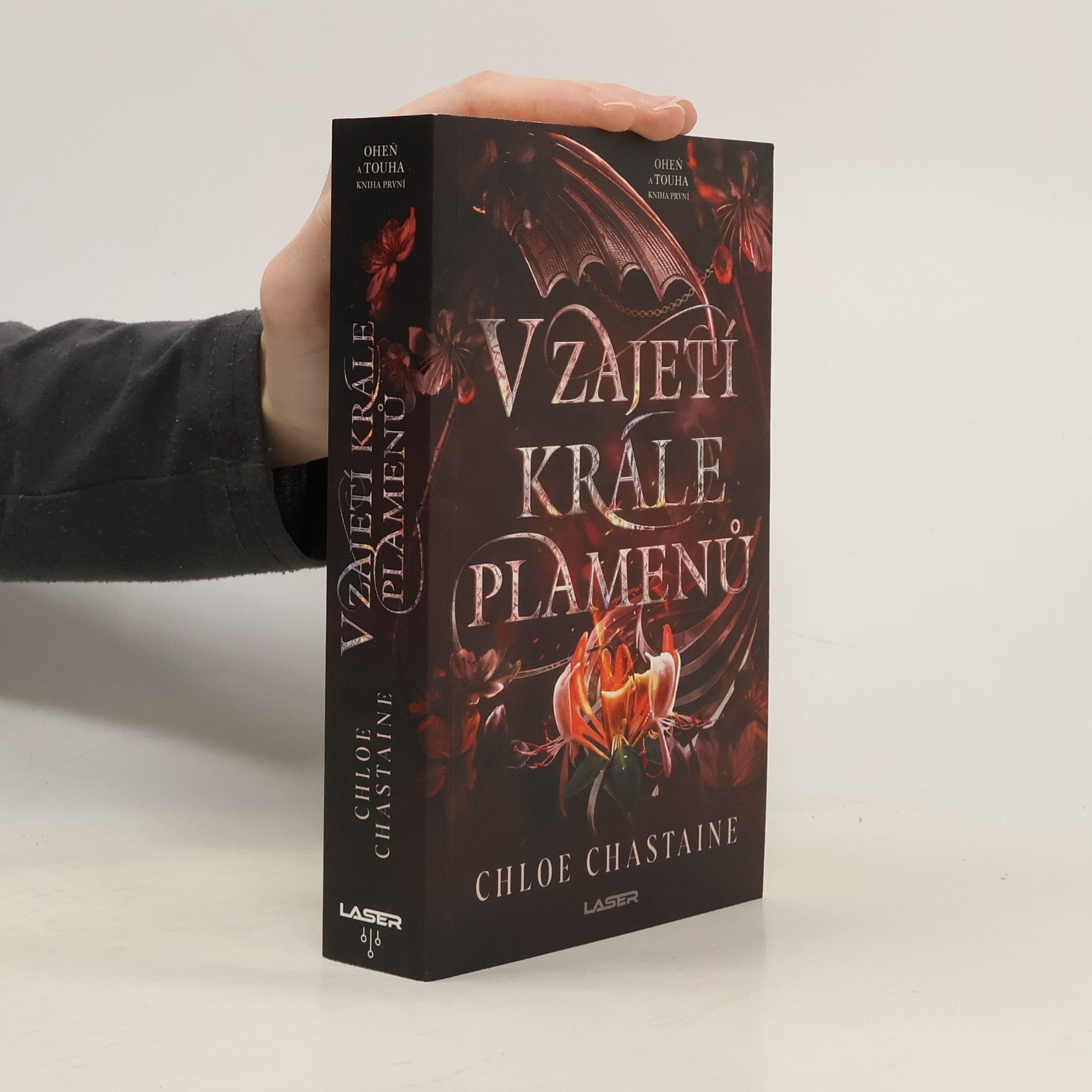 V zajetí krále plamenů
