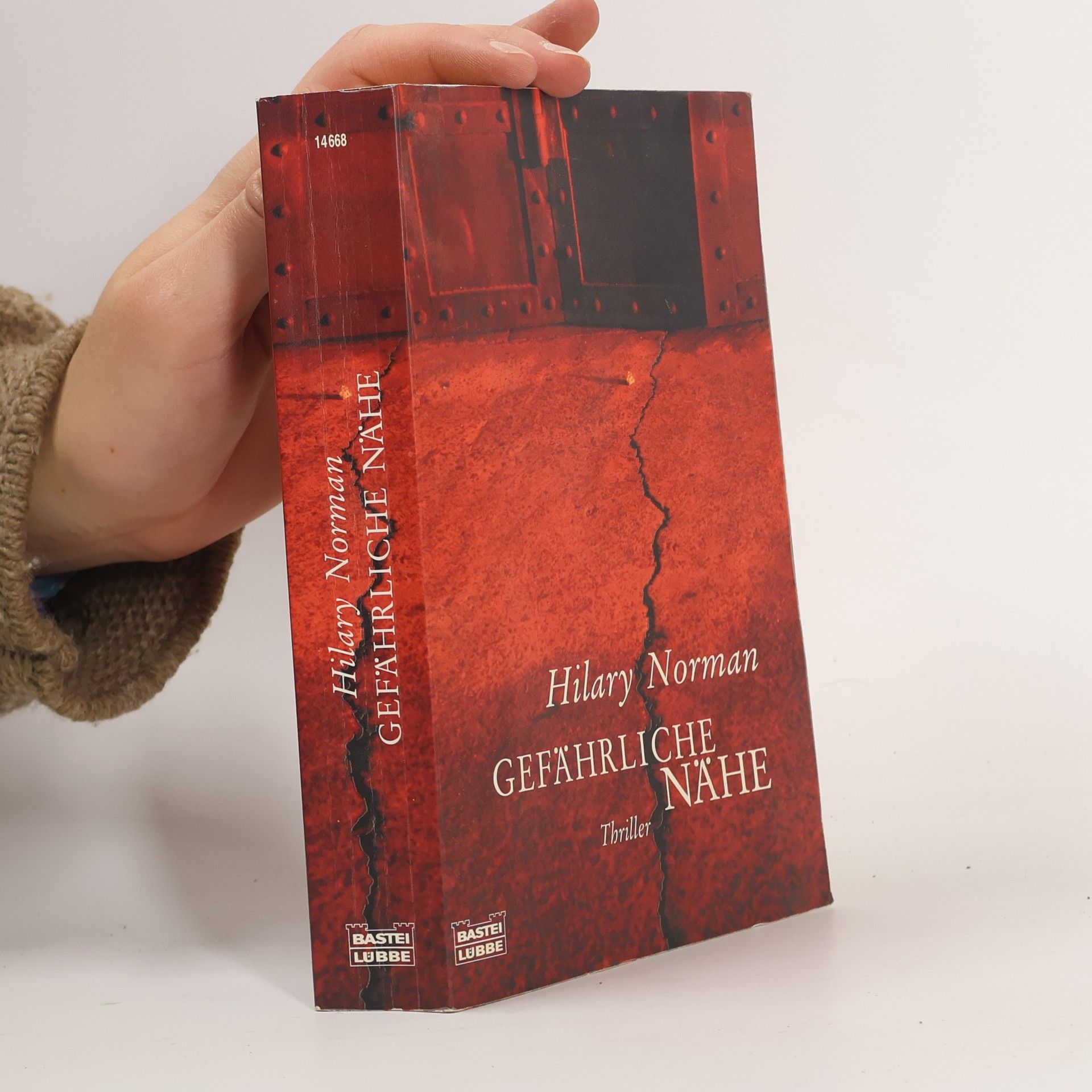 Hilary Norman Gefährliche Nähe