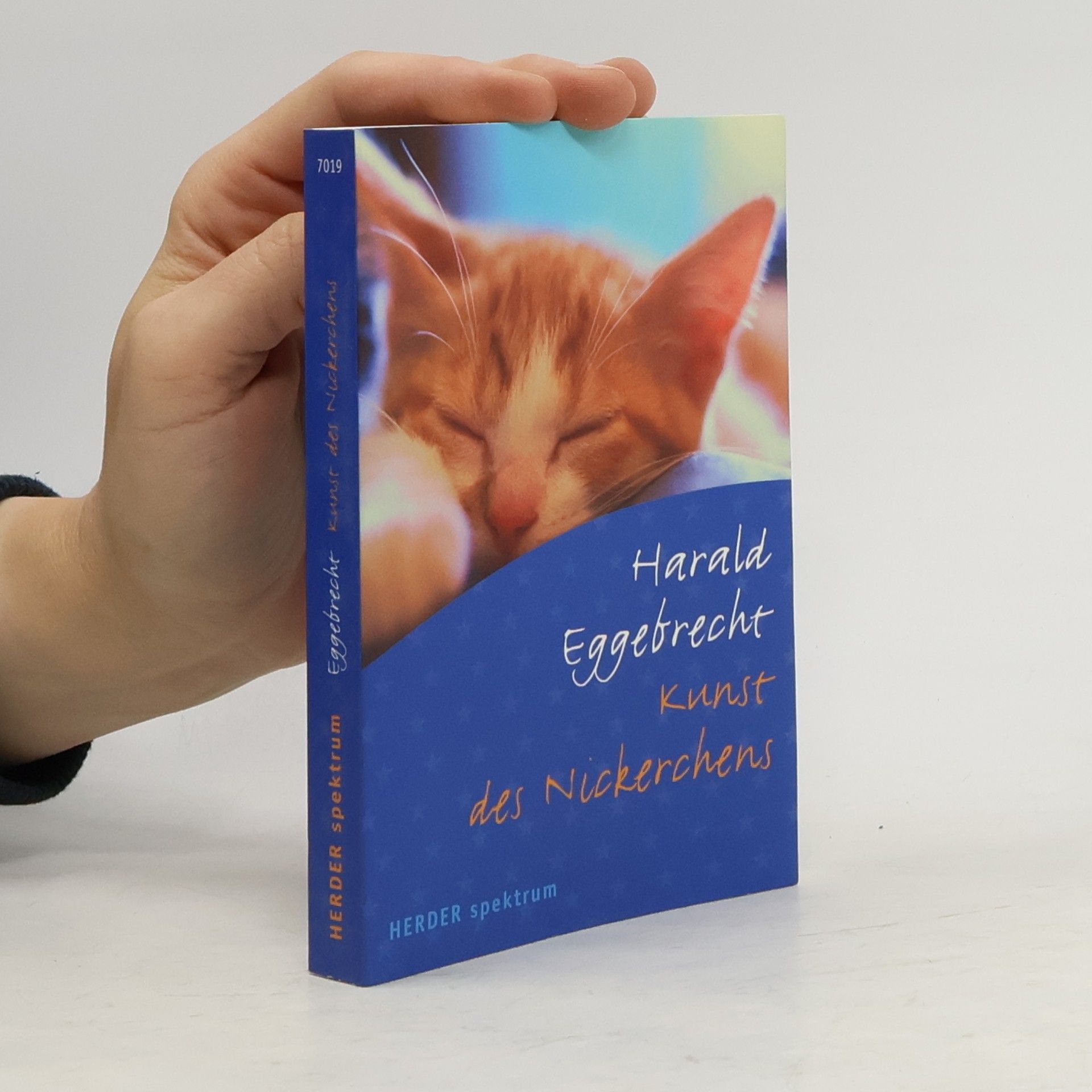 Harald Eggebrecht Kunst des Nickerchens