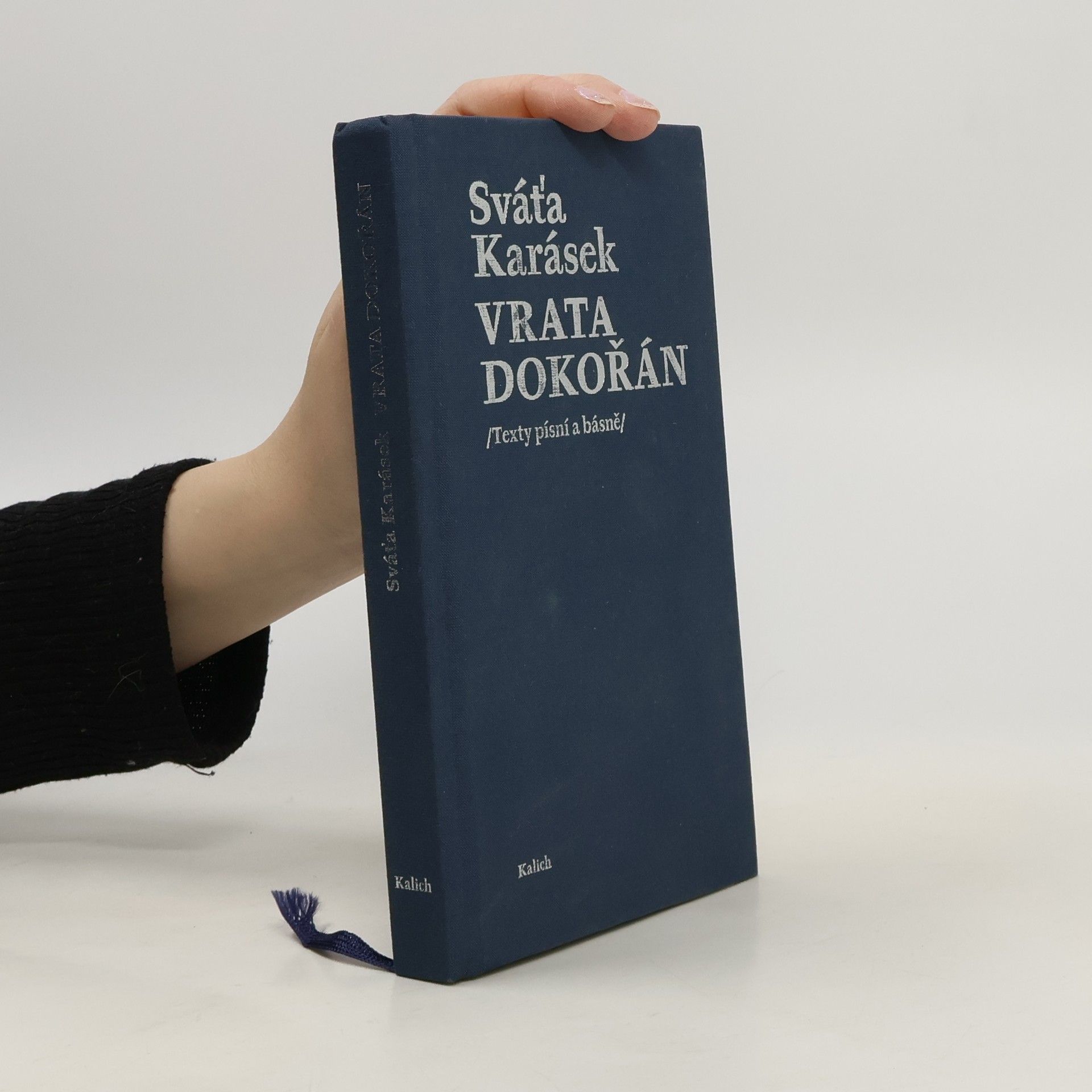 Vrata dokořán. Texty písní a básně