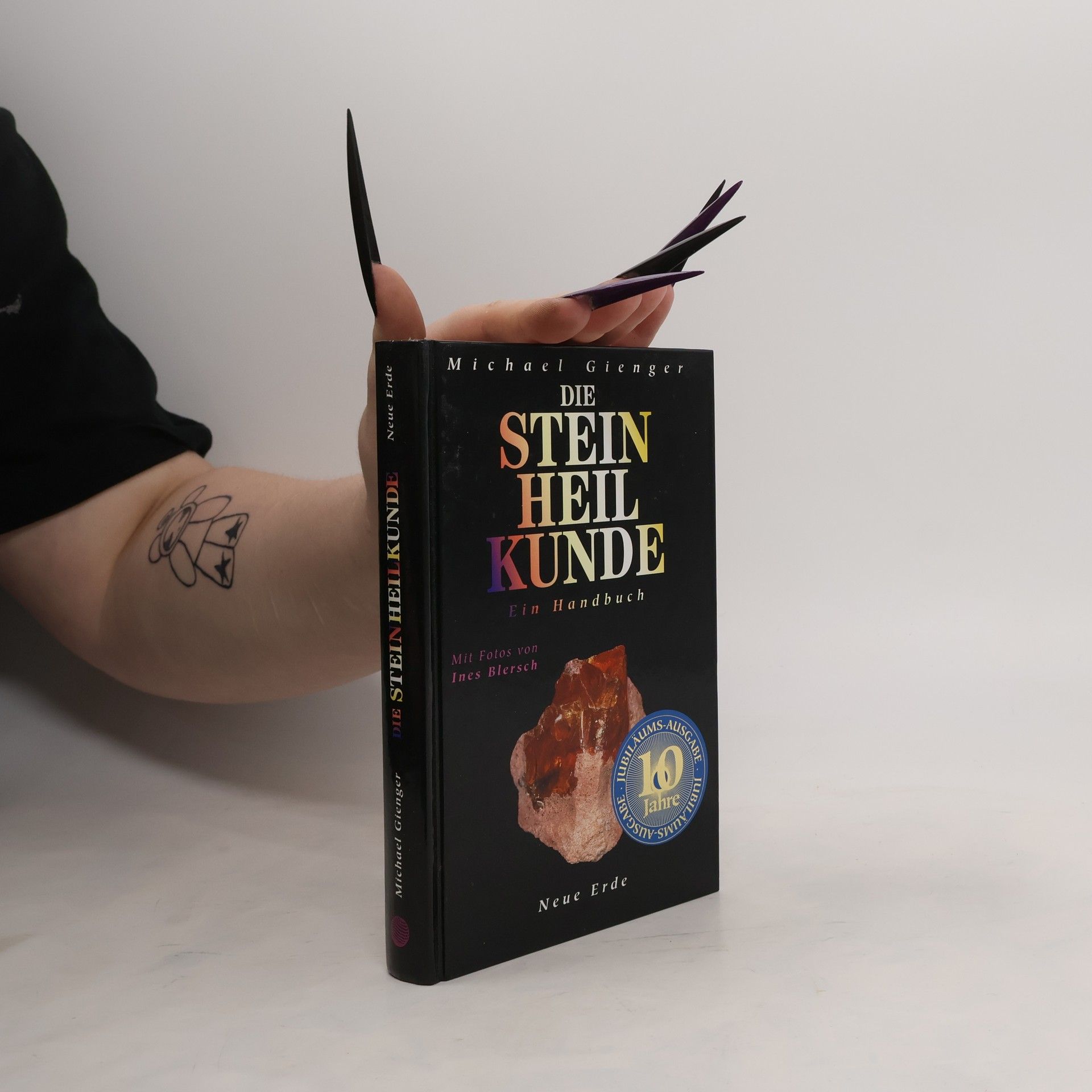 Michael Gienger Die Steinheilkunde