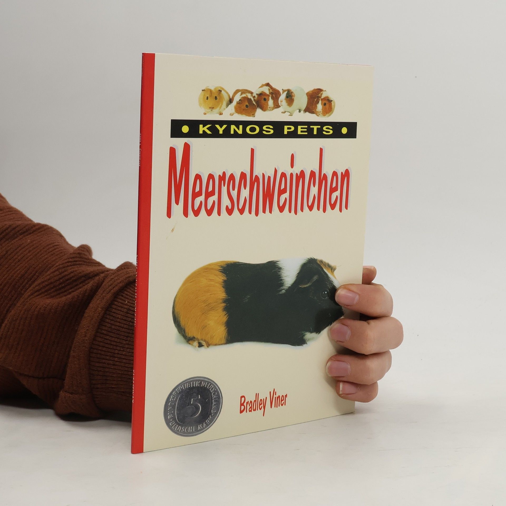 Meerschweinchen