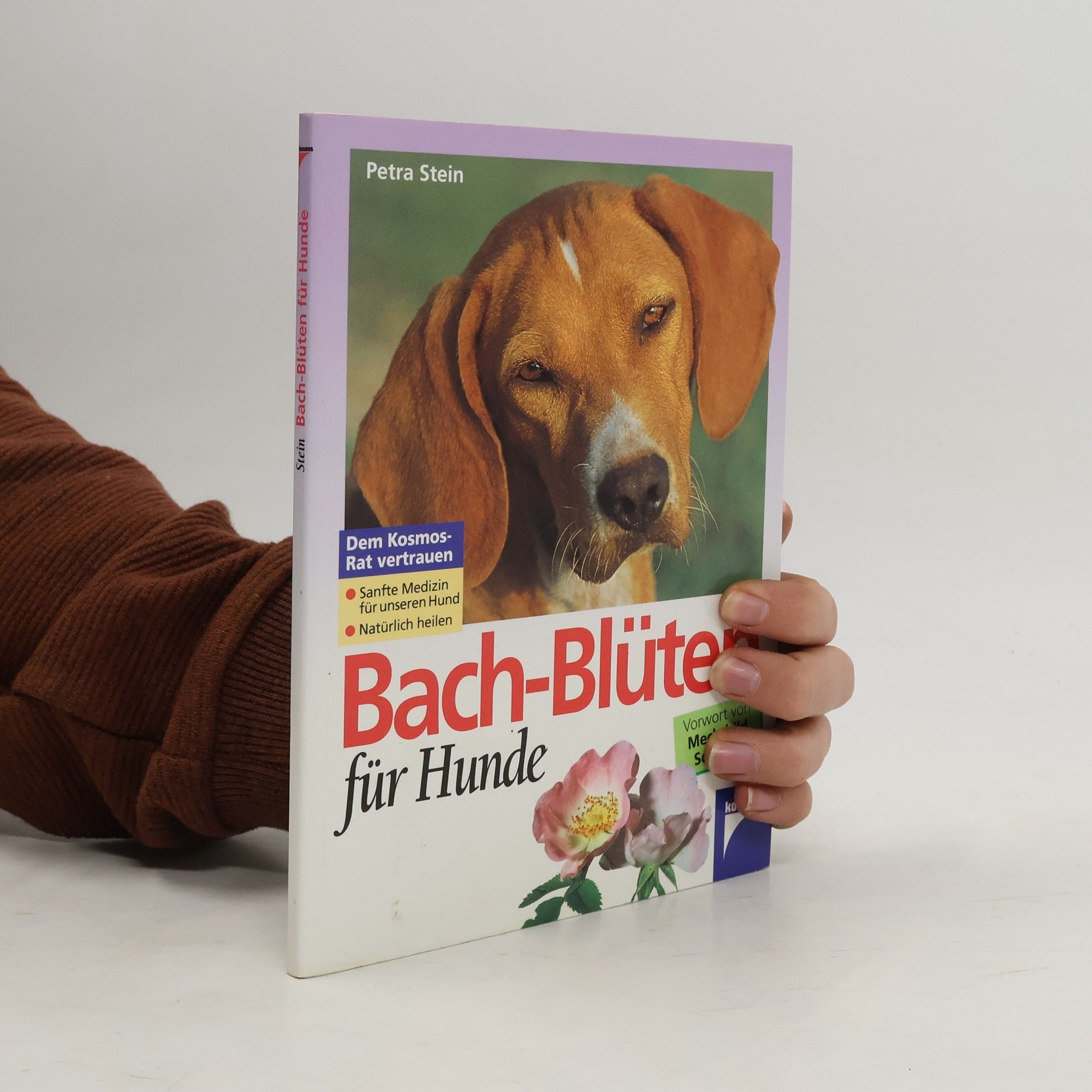 Petra Stein Bach-Blüten für Hunde