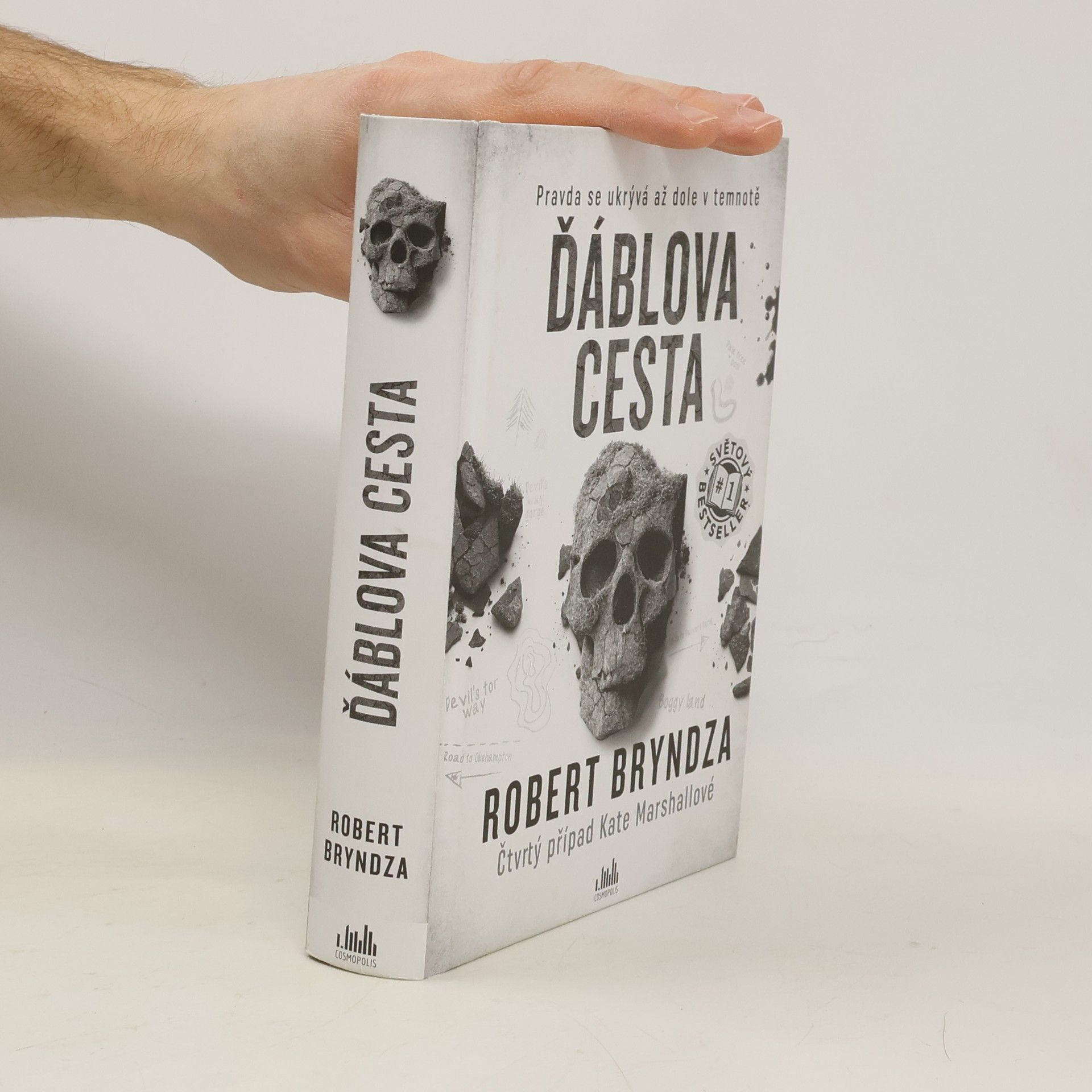 Robert Bryndza Ďáblova cesta