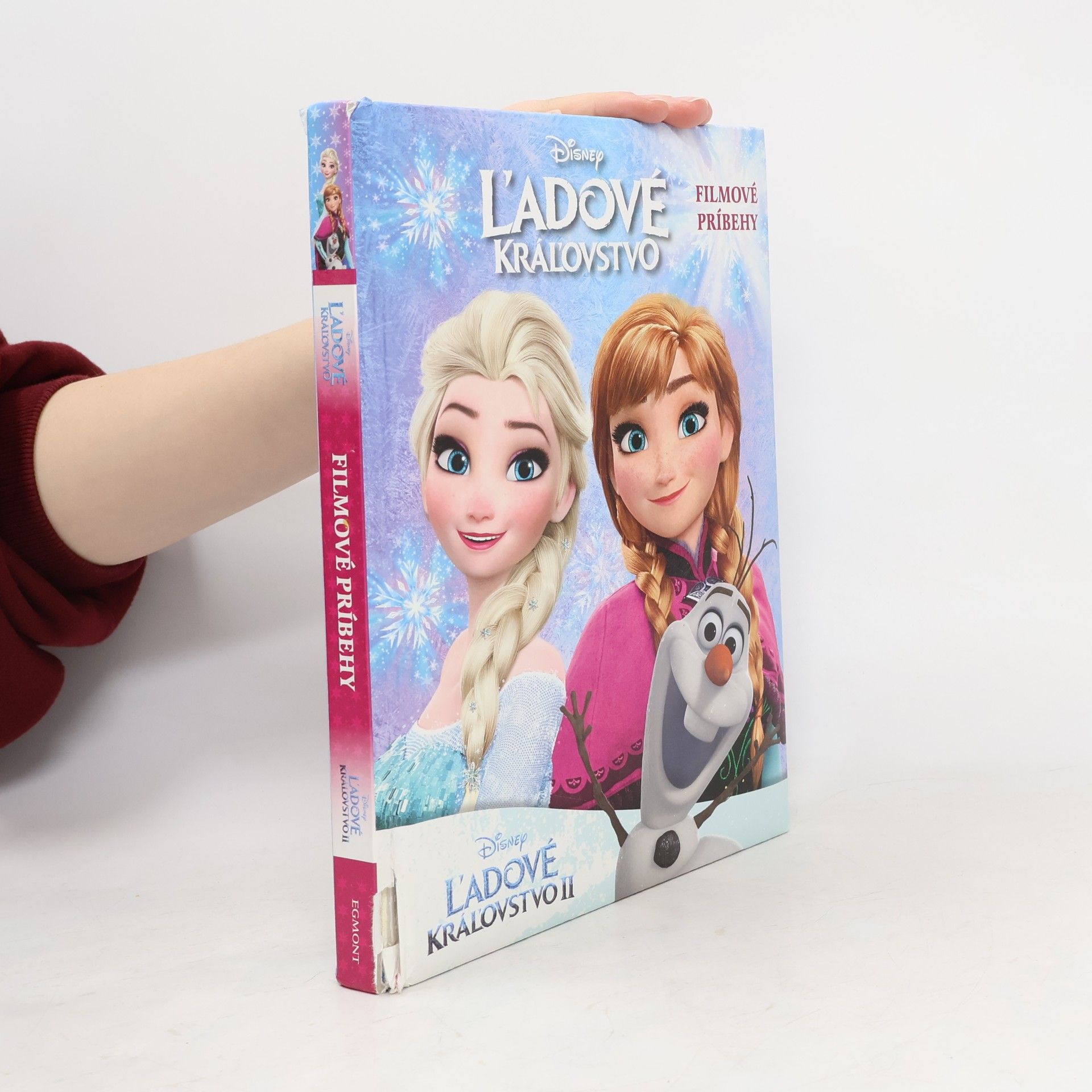 Kolektív autorov Ľadové kráľovstvo