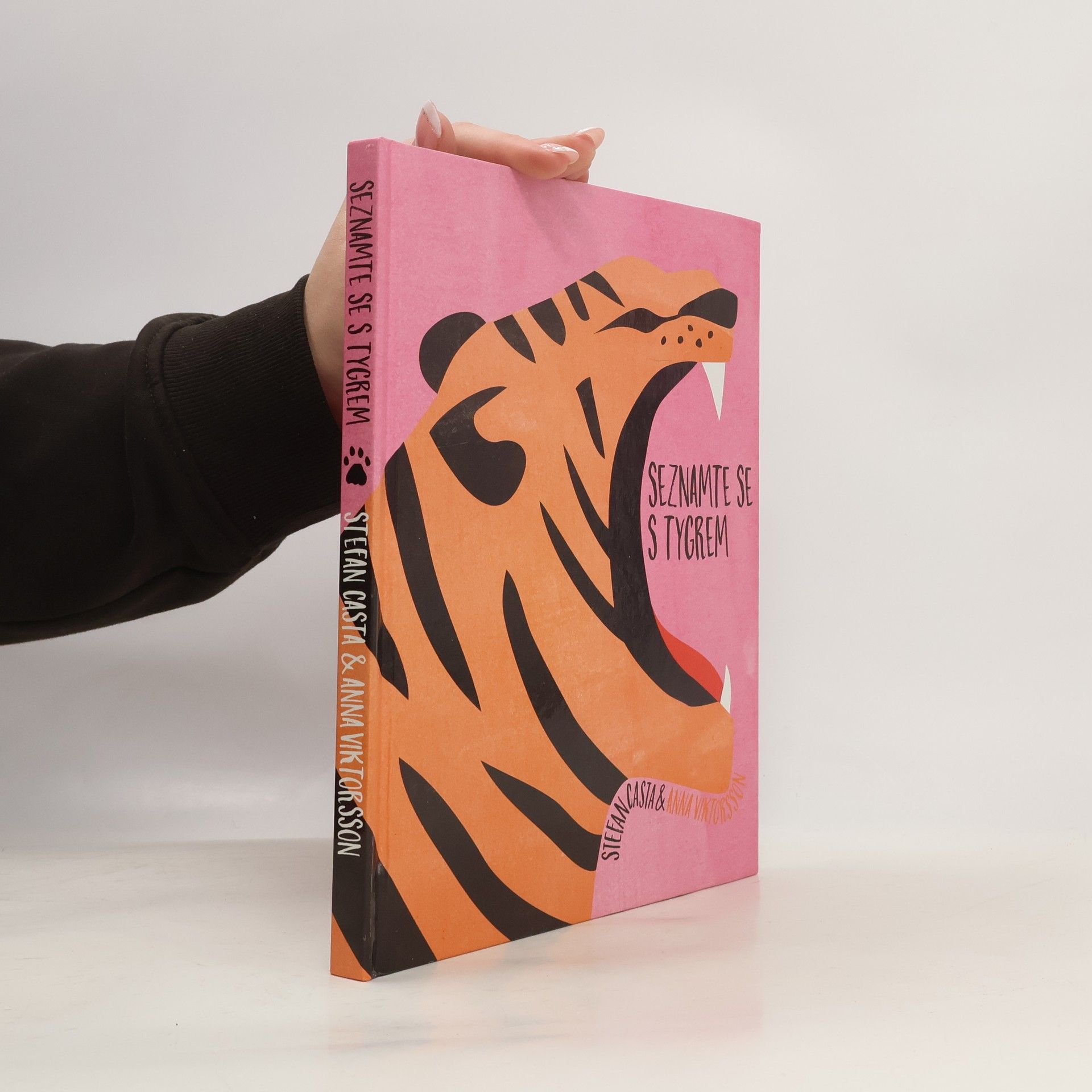 Seznamte se s tygrem