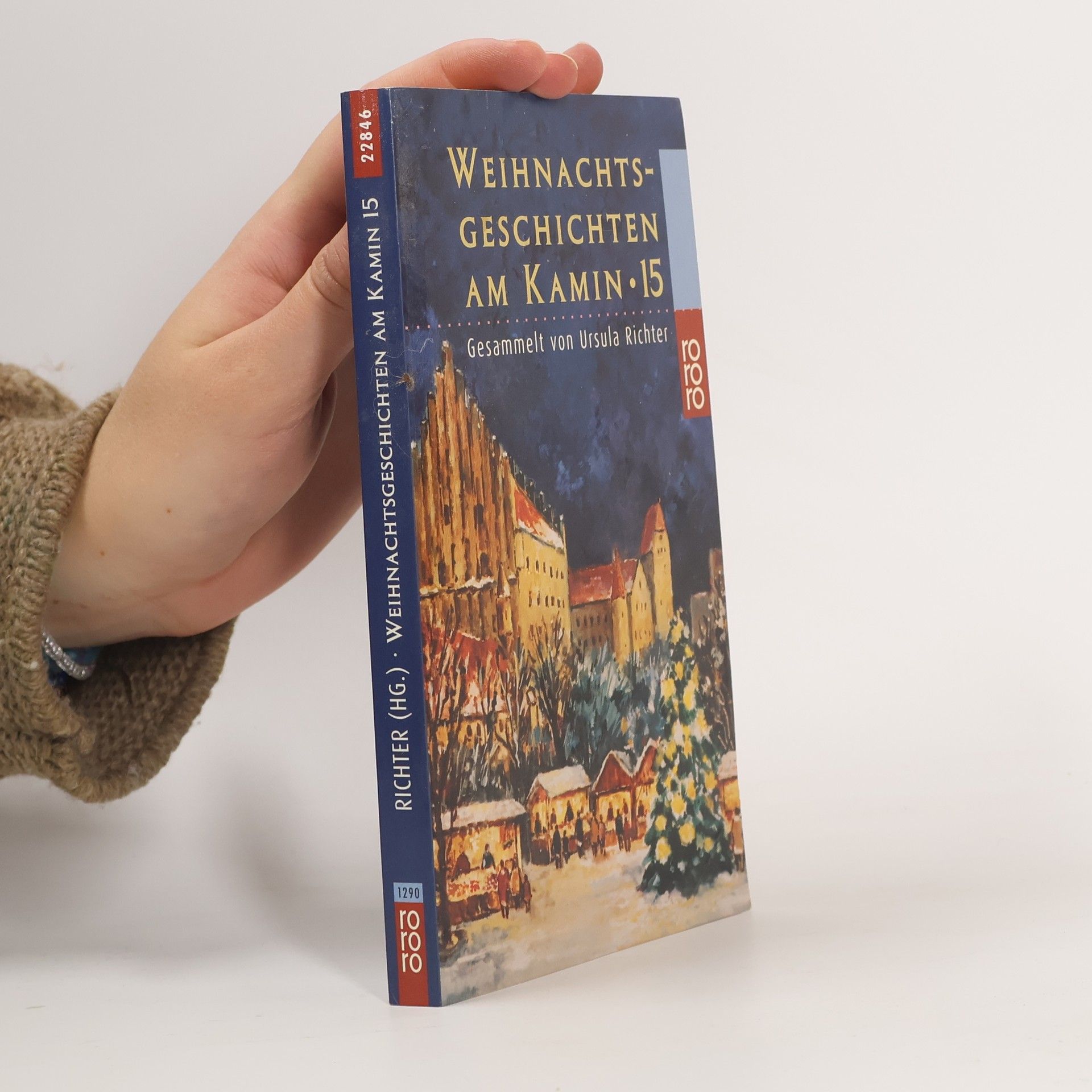 Various authors Weihnachtsgeschichten am Kamin