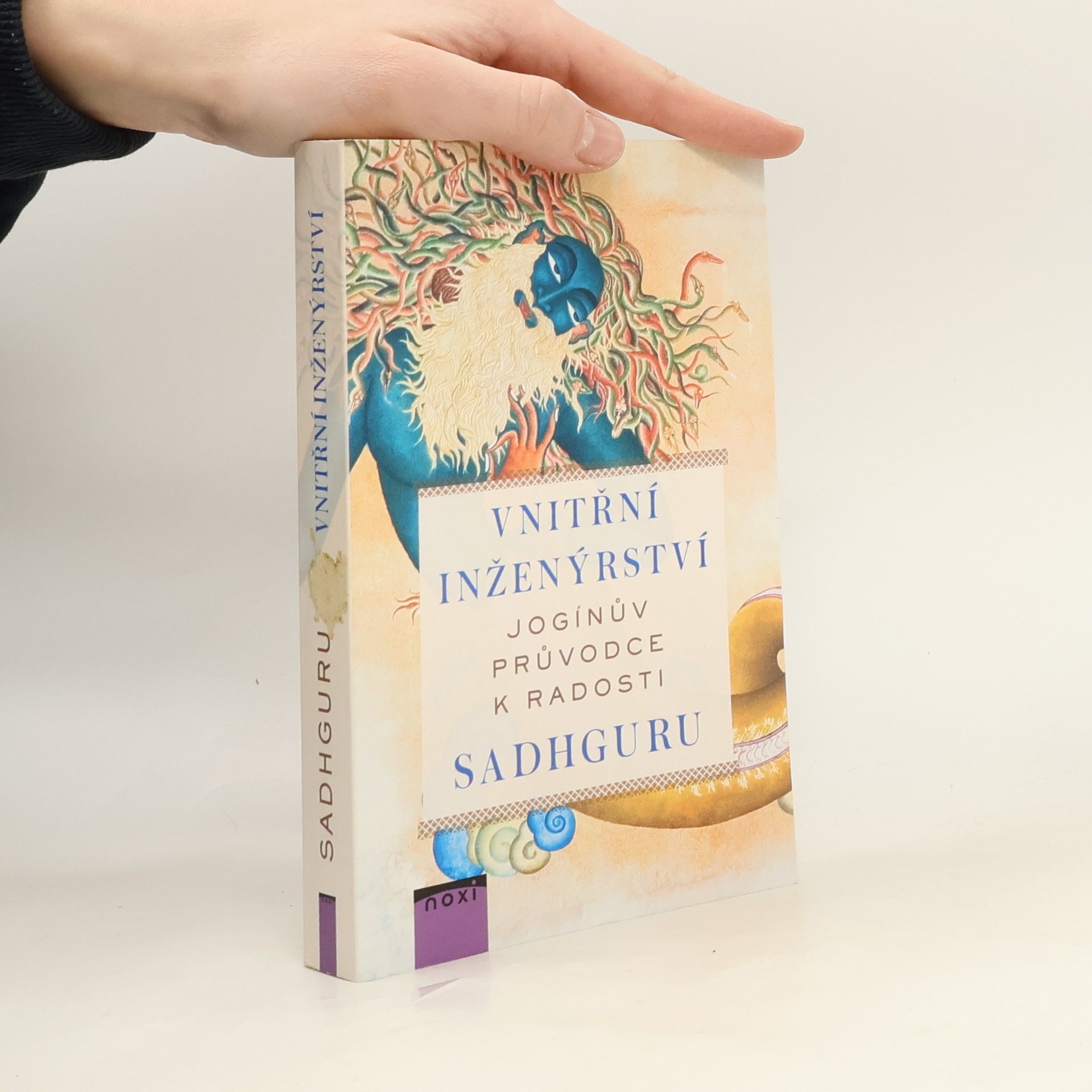 Vnitřní inženýrství : jogínův průvodce k radosti