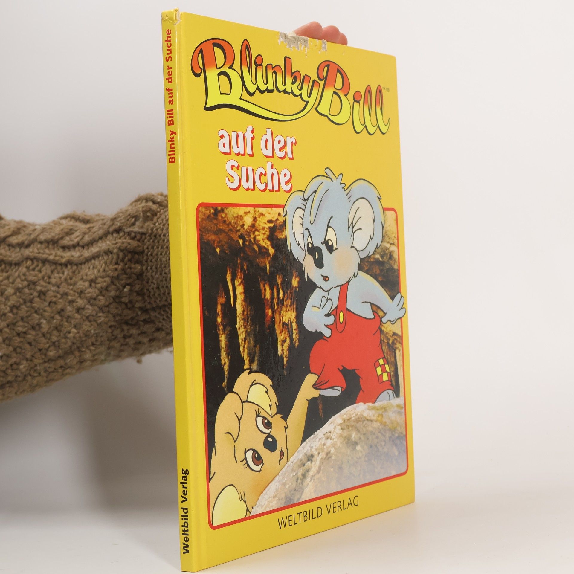 Blinky Bill auf der Suche