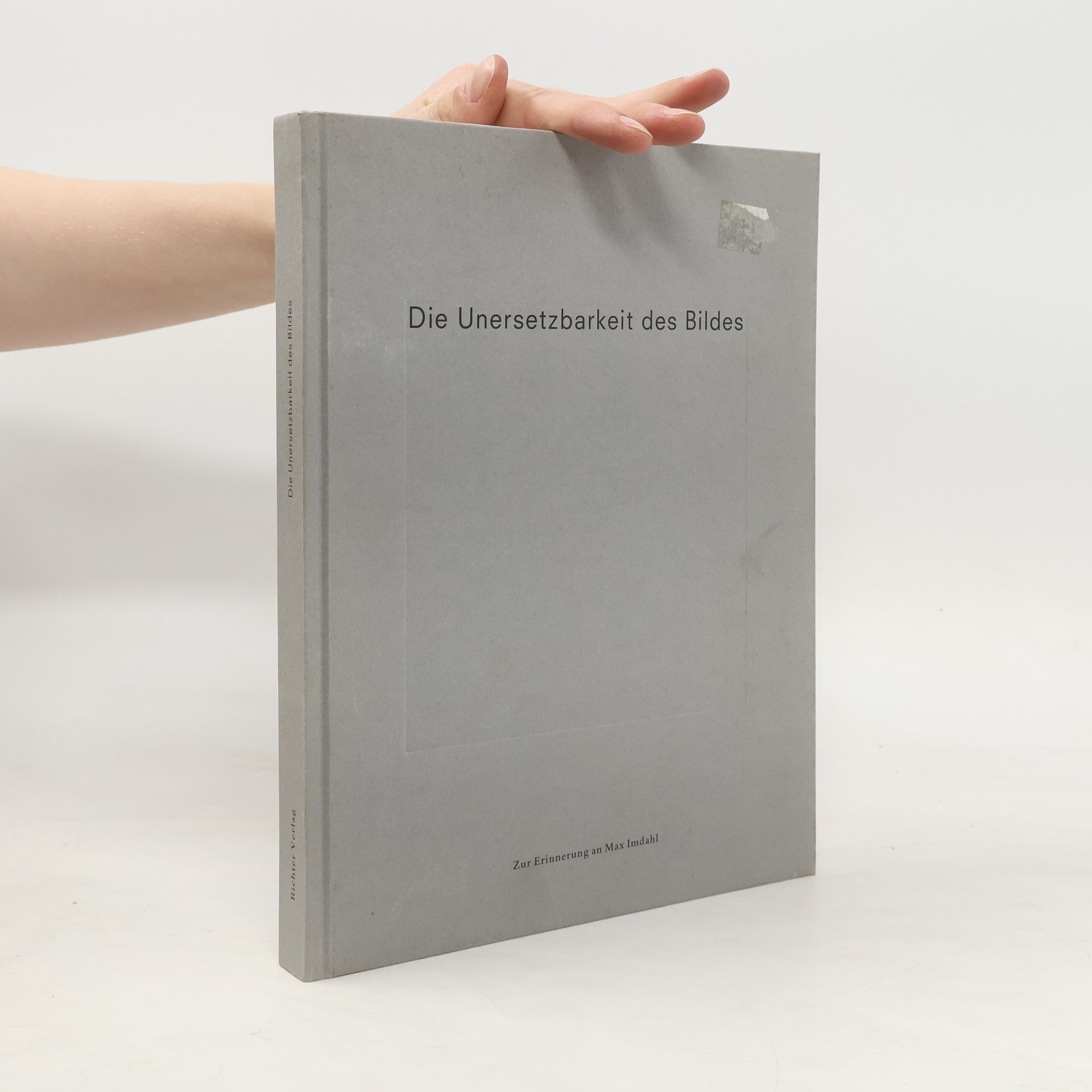 Die Unersetzbarkeit des Bildes