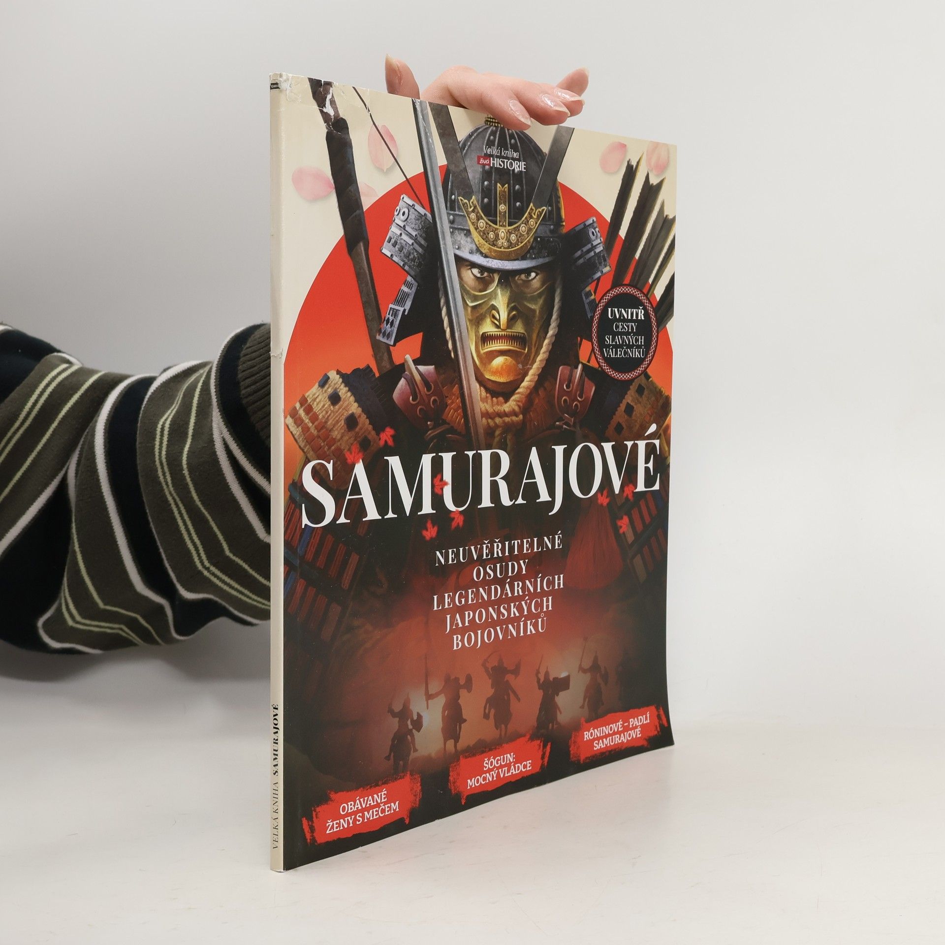 Dan Peel Samurajové: Neuvěřitelné osudy legendárních japonských bojovníků