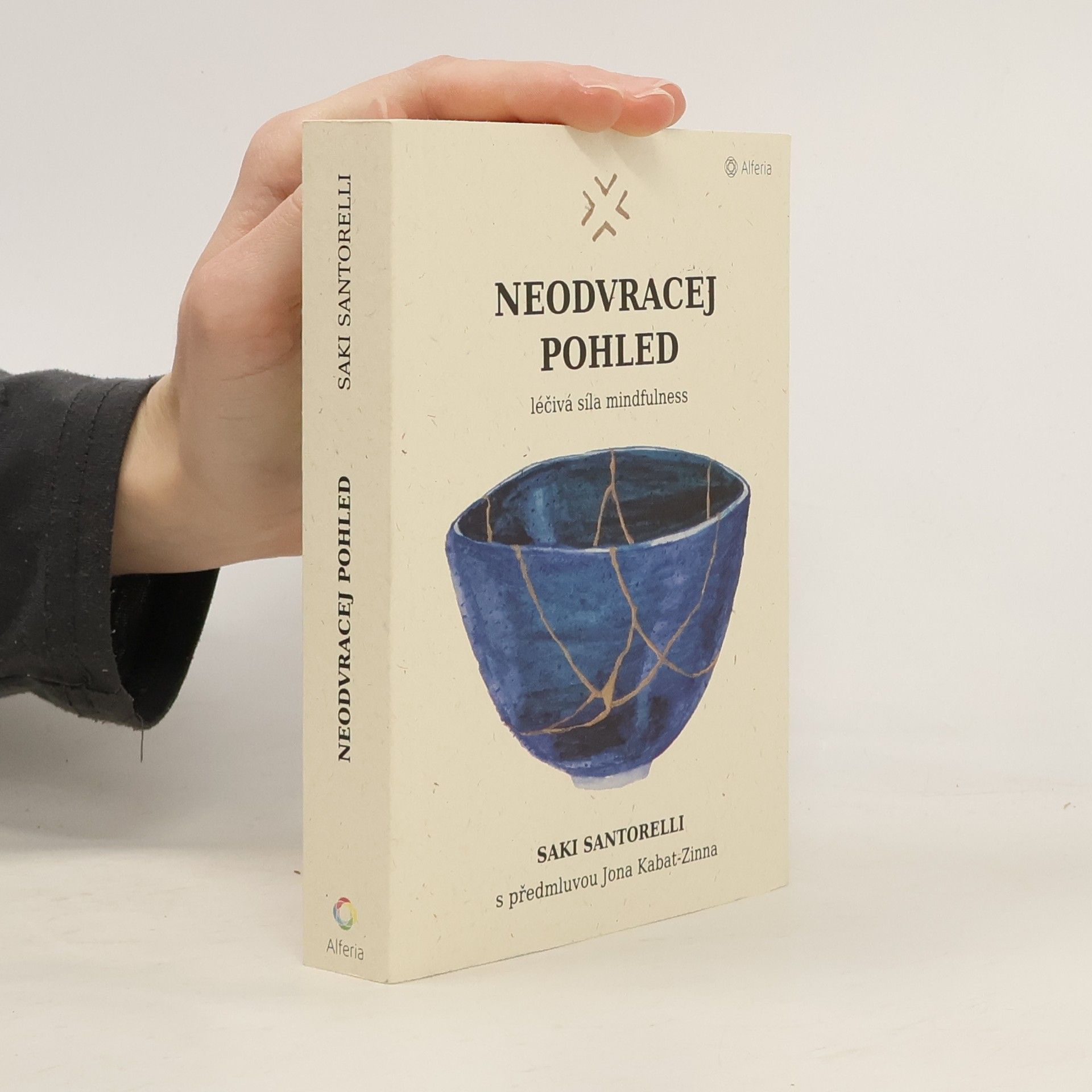 Saki Santorelli Neodvracej pohled : léčivá síla mindfulness