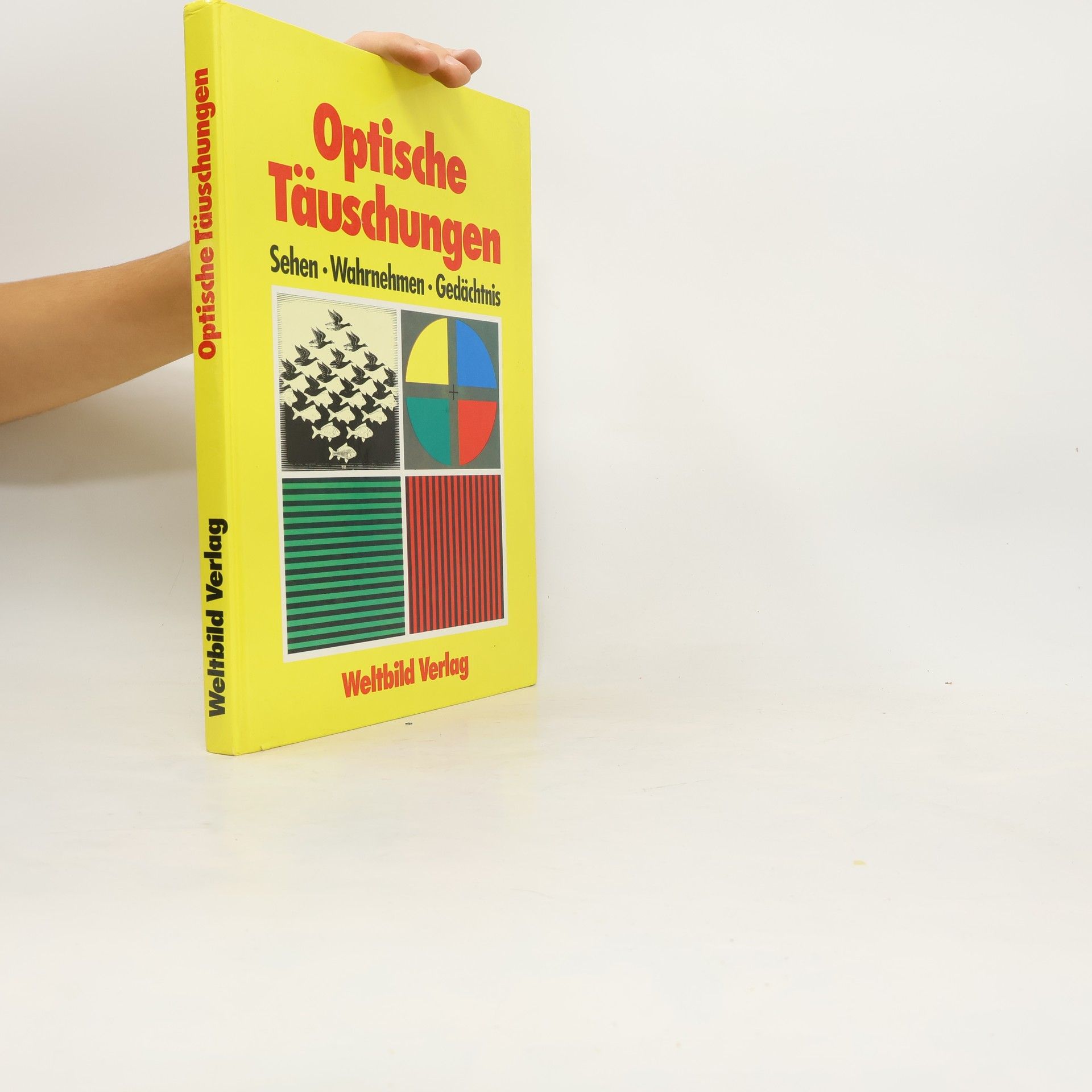 John P. Frisby Sehen. Optische Täuschungen - Gehirnfunktionen - Bildgedächtnis