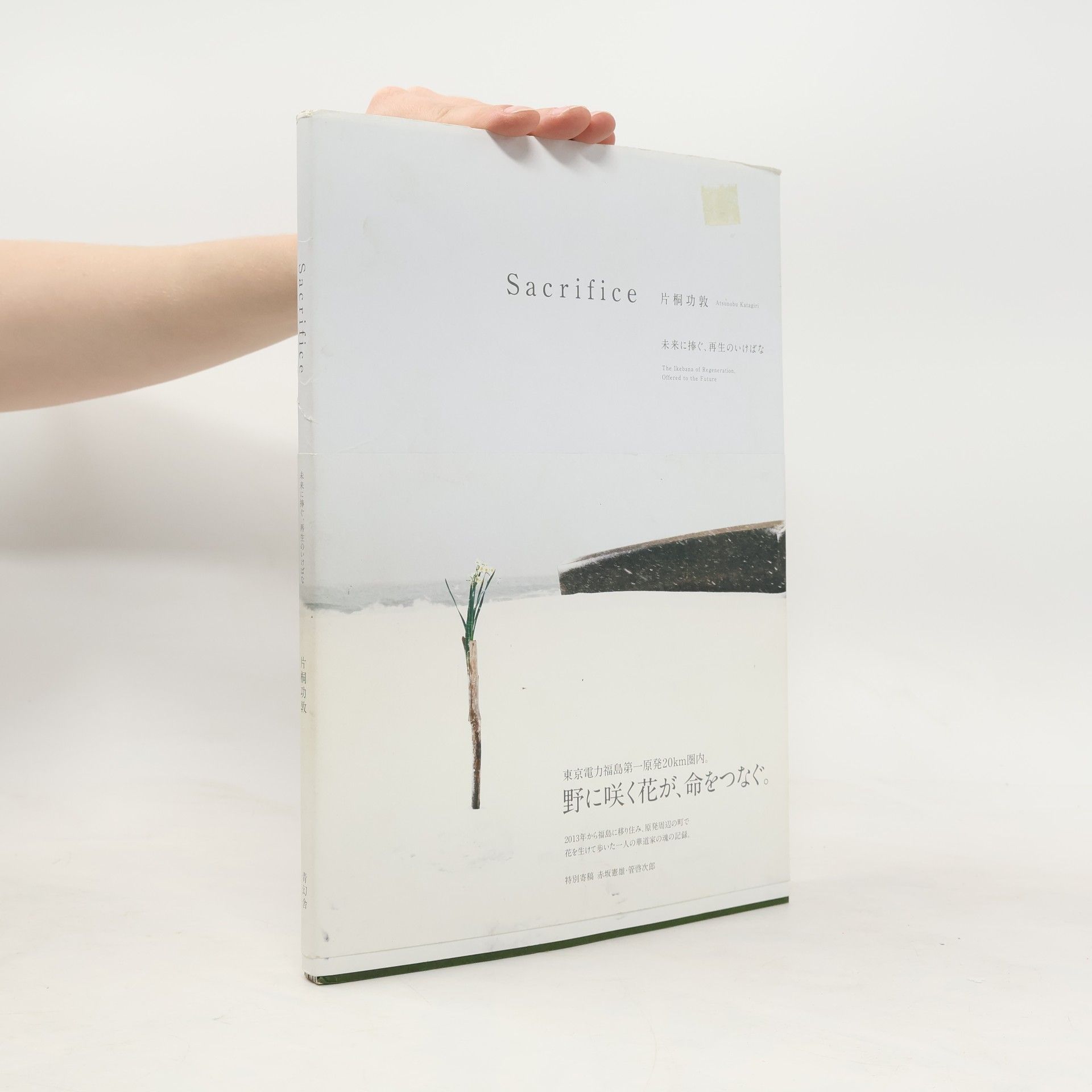 Katsuo Katagiri Sacrifice