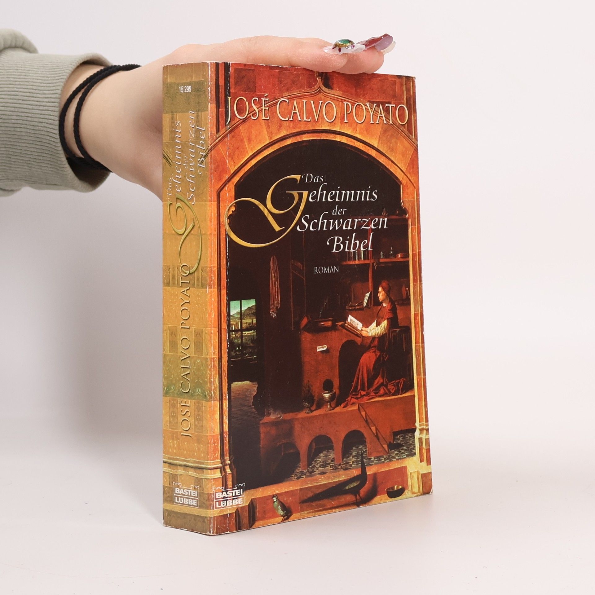 José Calvo Poyato Das Geheimnis der schwarzen Bibel