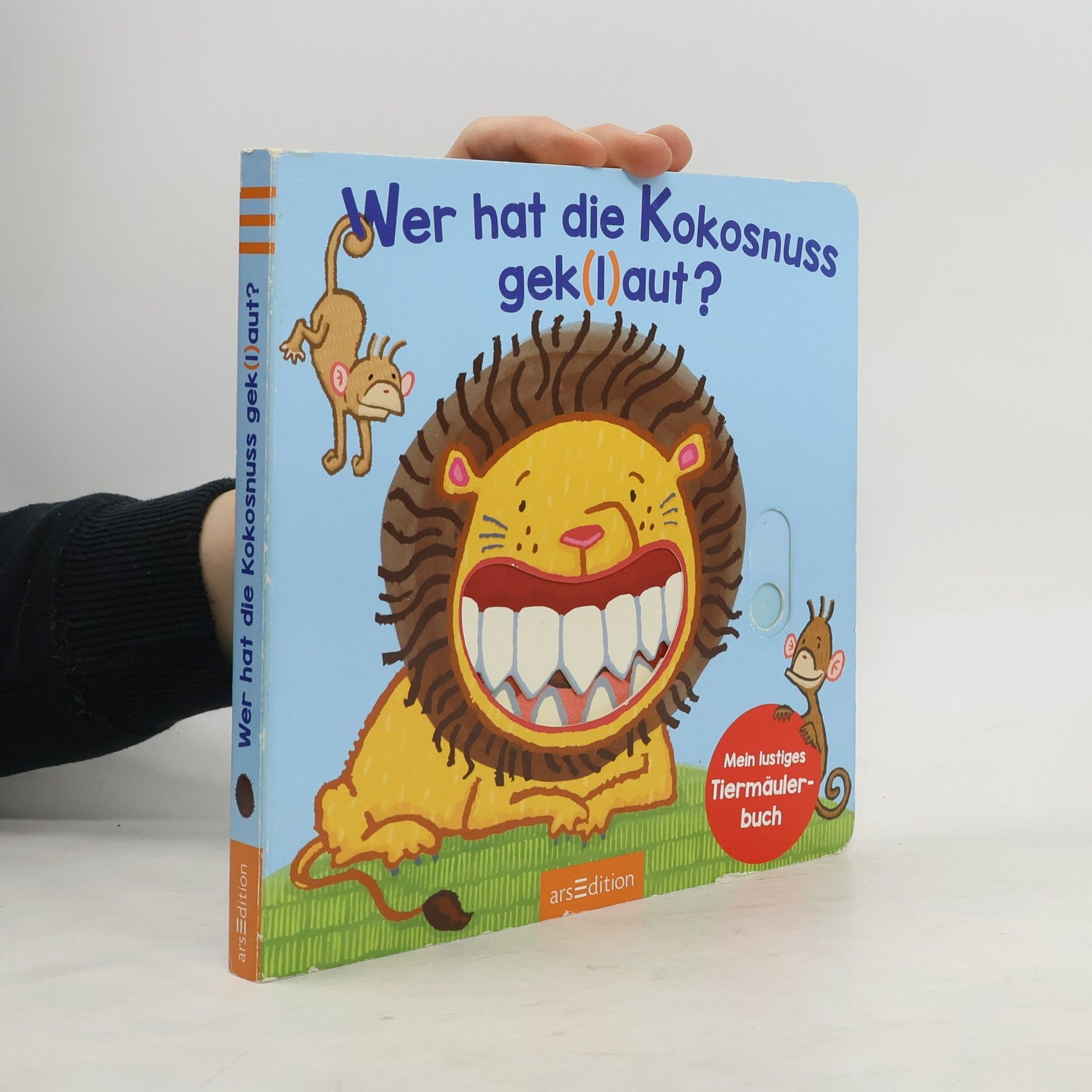 Thorsten Saleina Wer hat die Kokosnuss gek(l)aut?