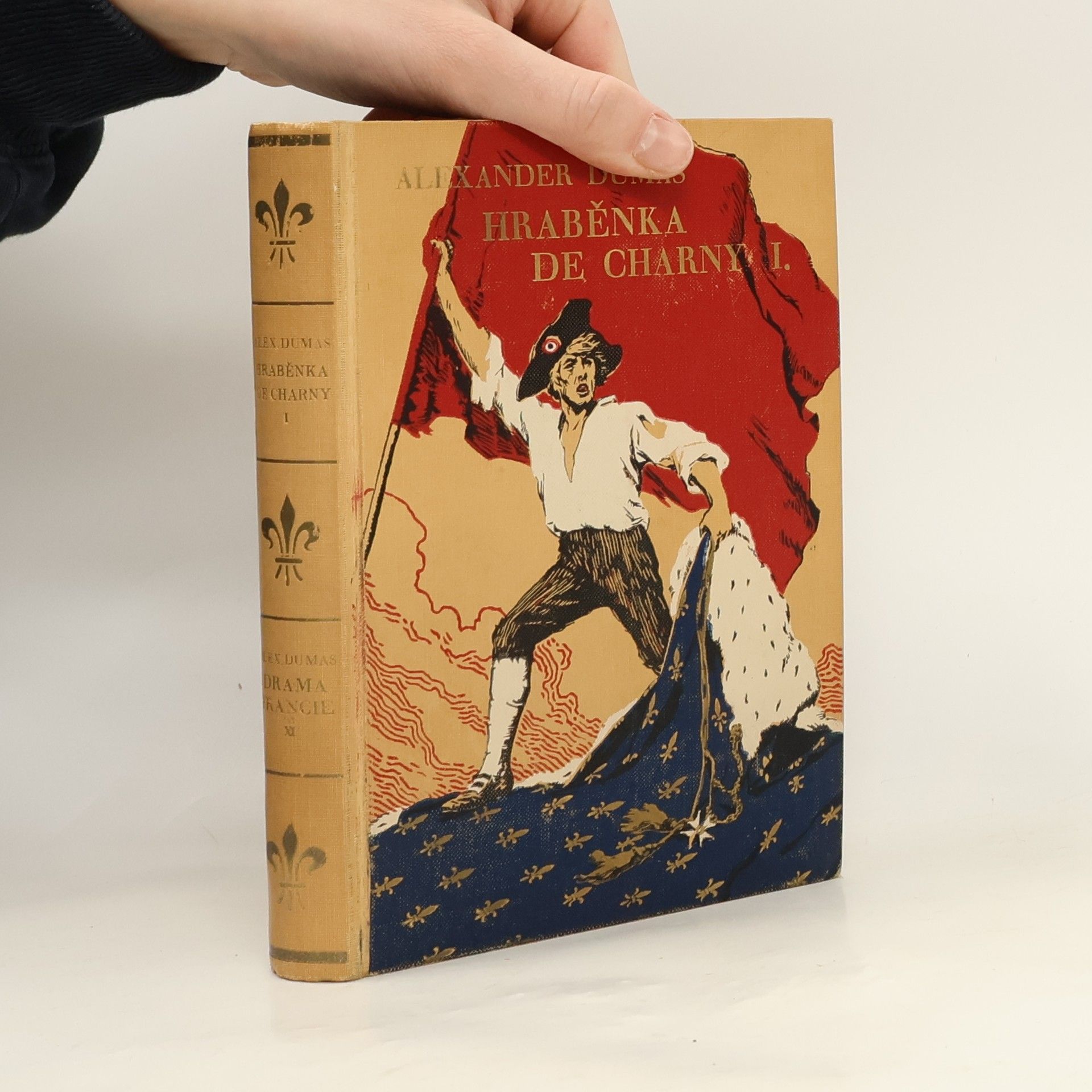 Alexandre Dumas Hraběnka de Charny I.