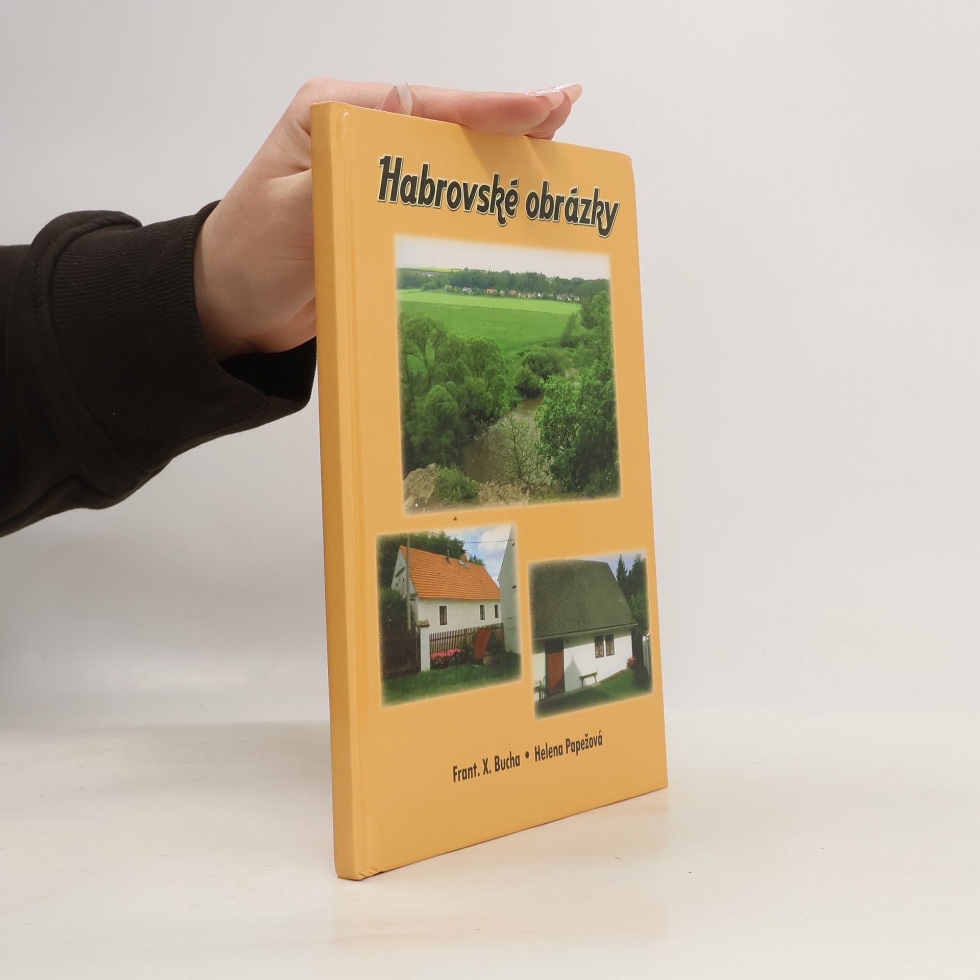 Frant. X. Bucha Habrovské obrázky