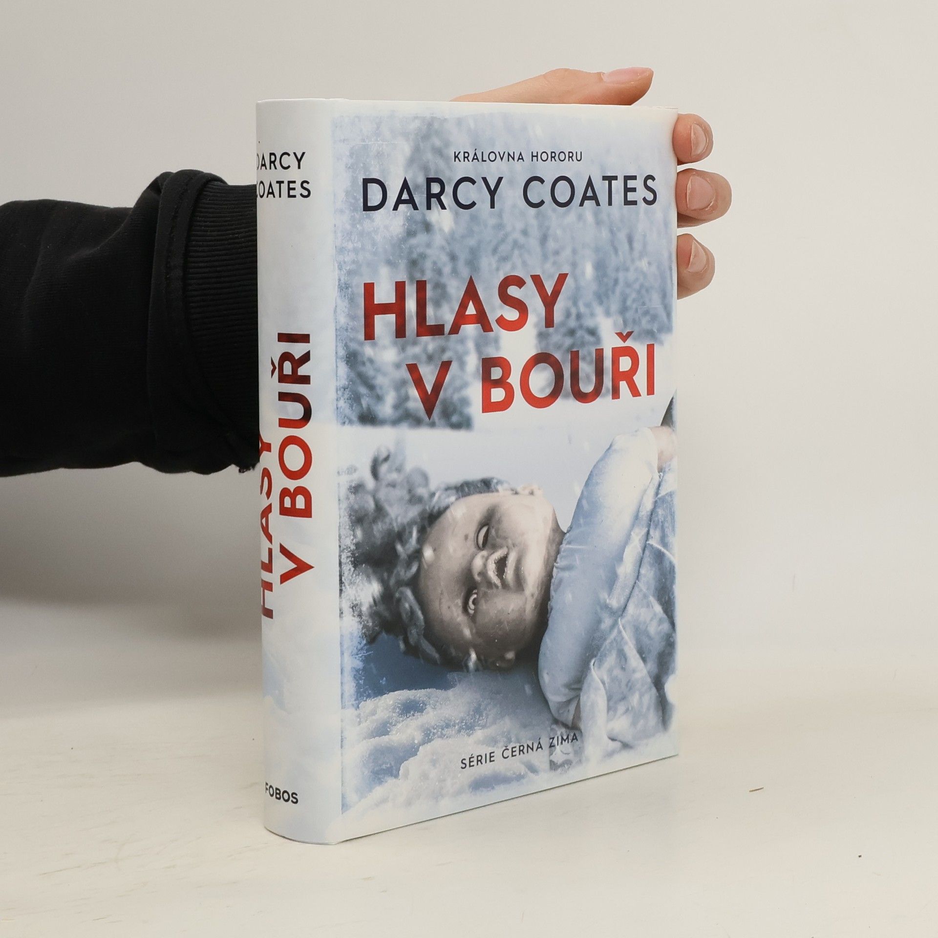 Darcy Coates Hlasy v bouři