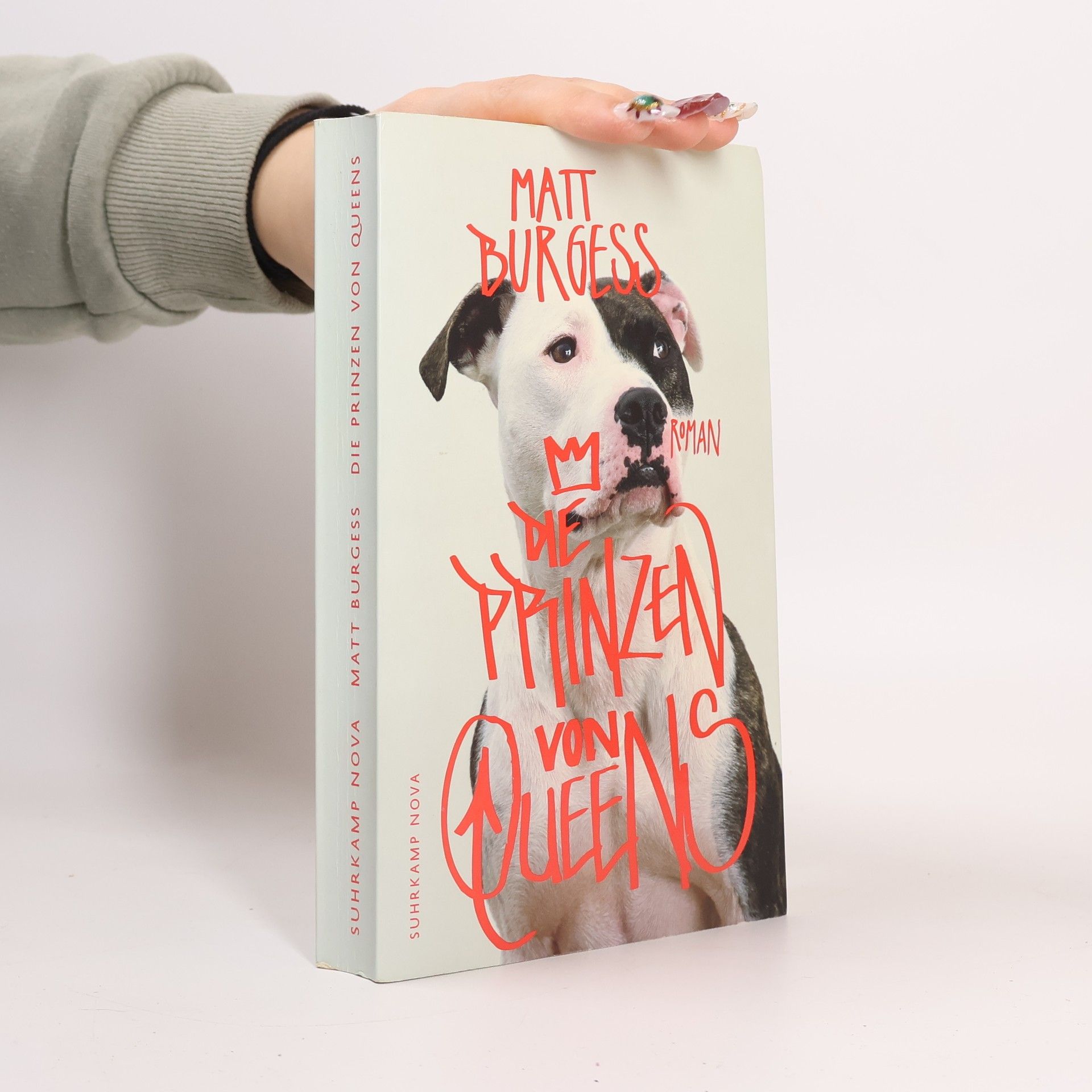 Matt Burgess Die Prinzen von Queens