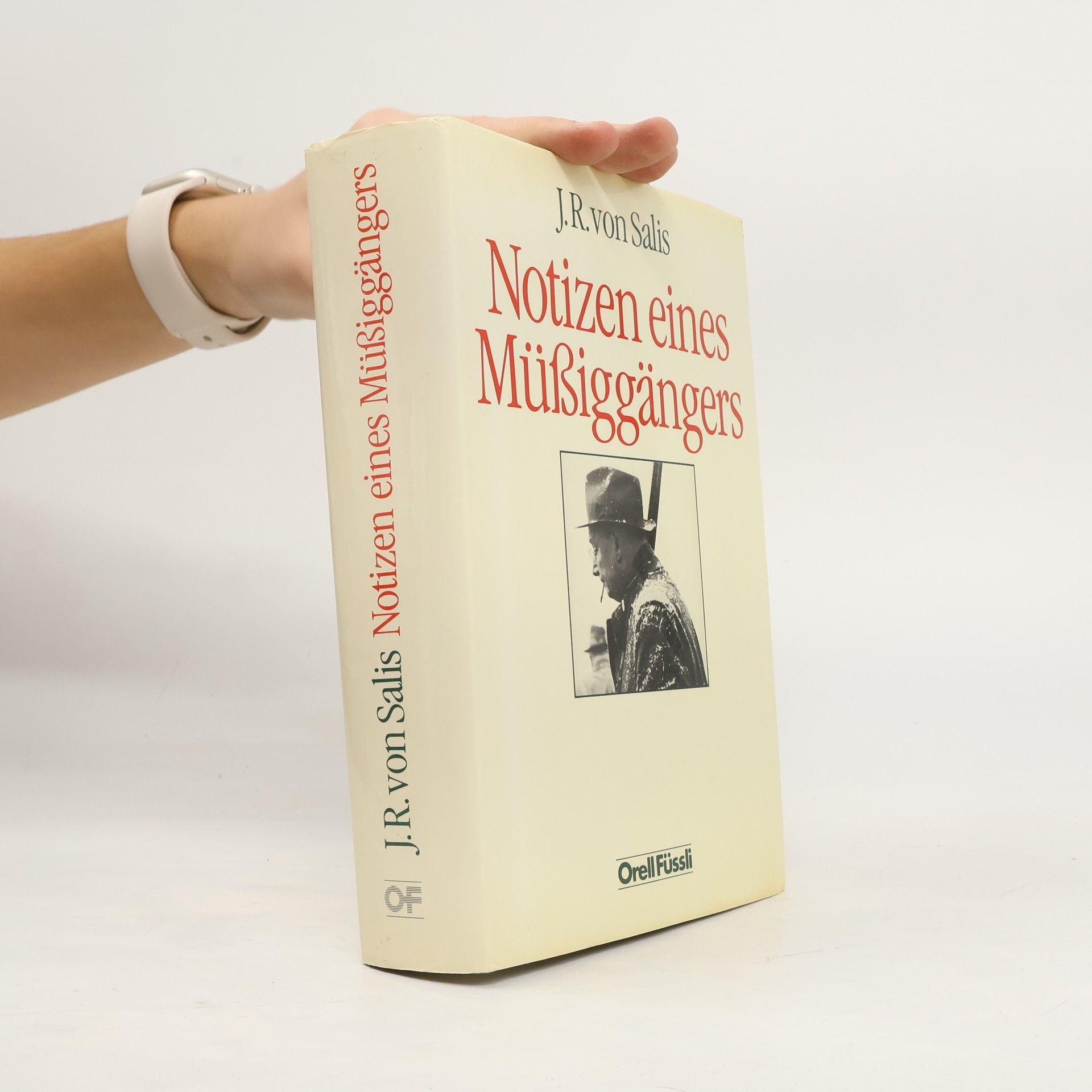 Notizen eines Müssiggängers