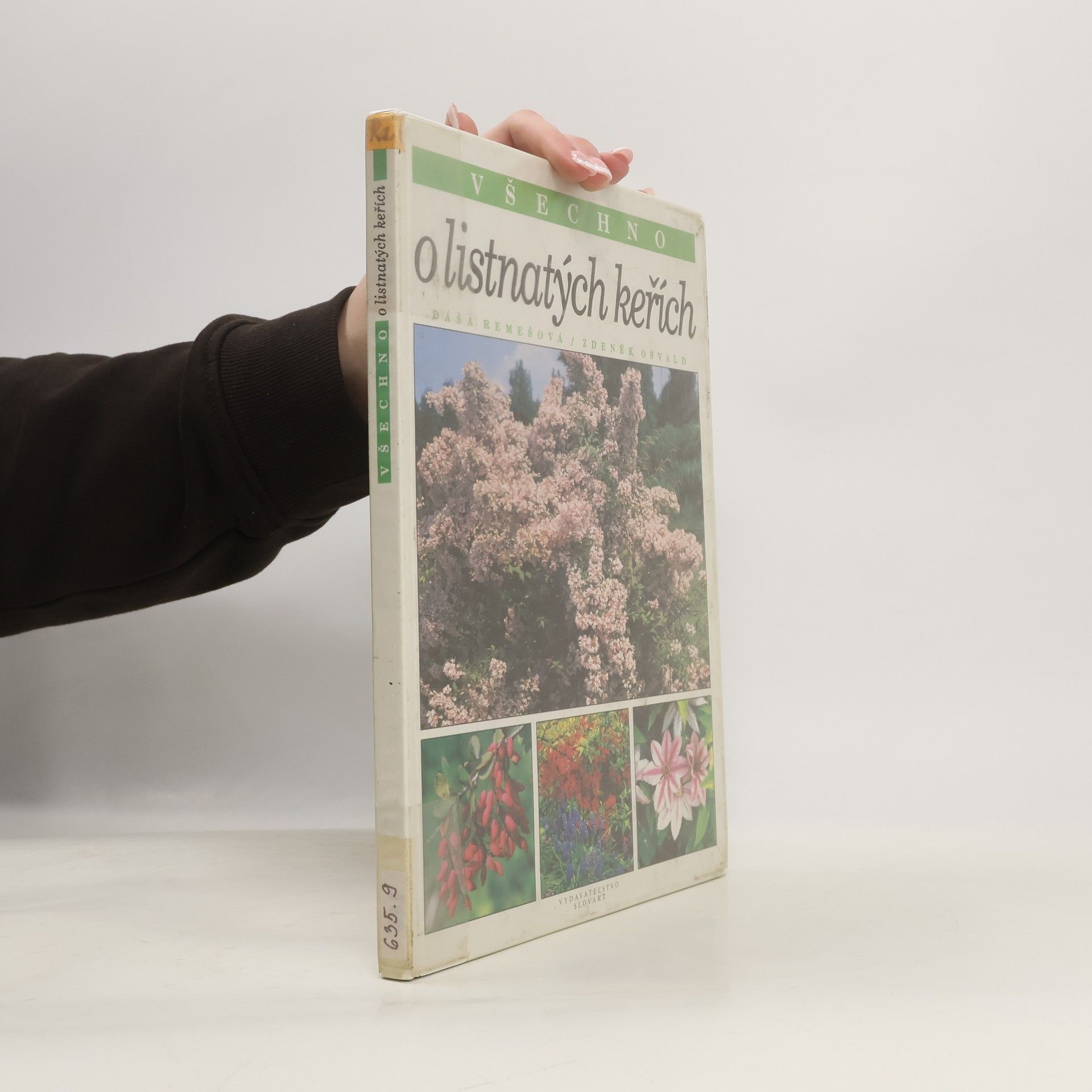 Všechno o listnatých keřích