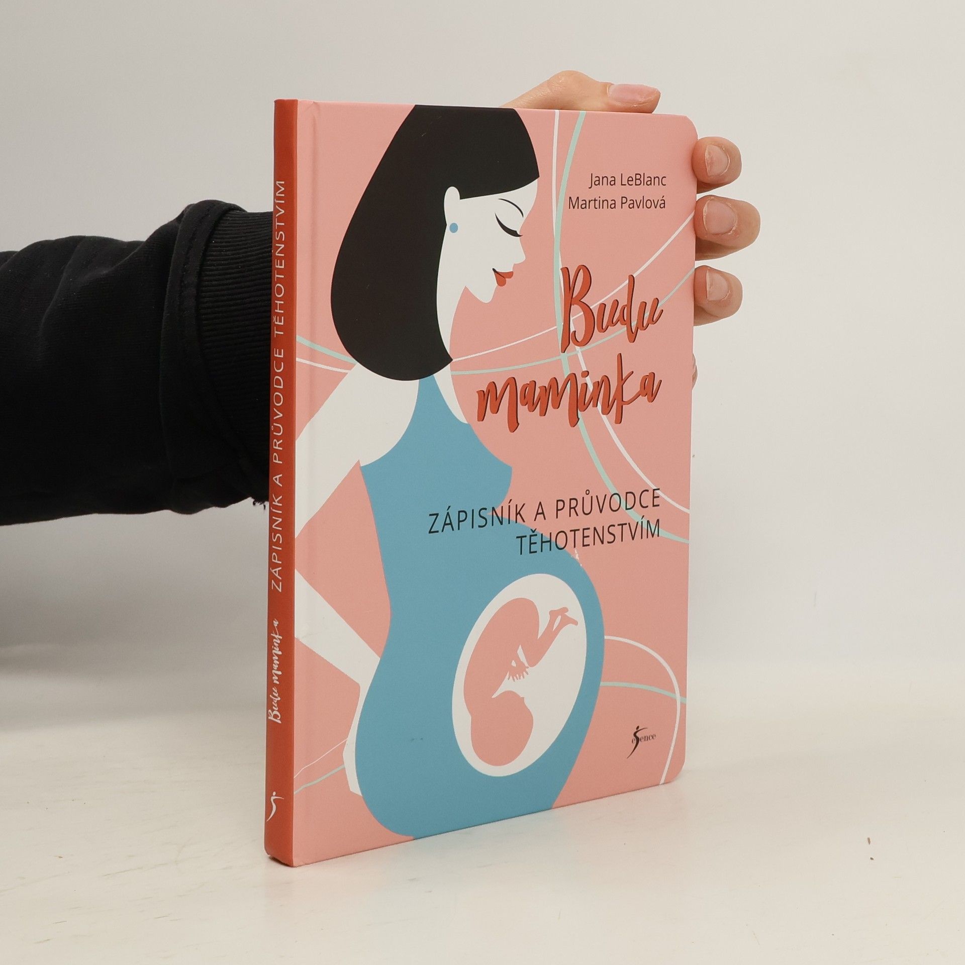 Kolektiv autorů Budu maminka