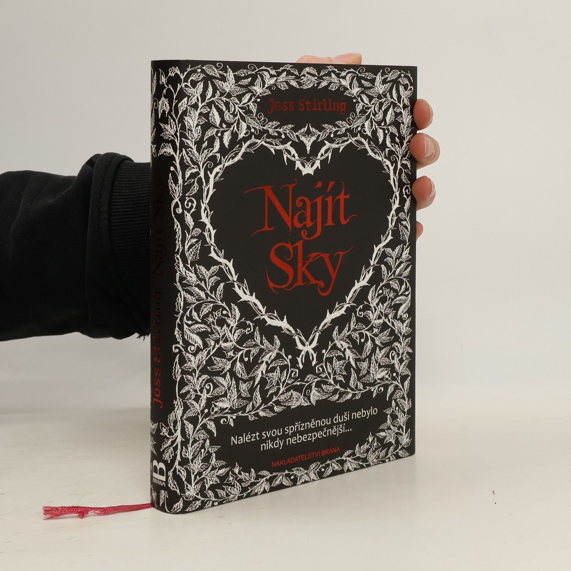 Julia Golding Najít Sky