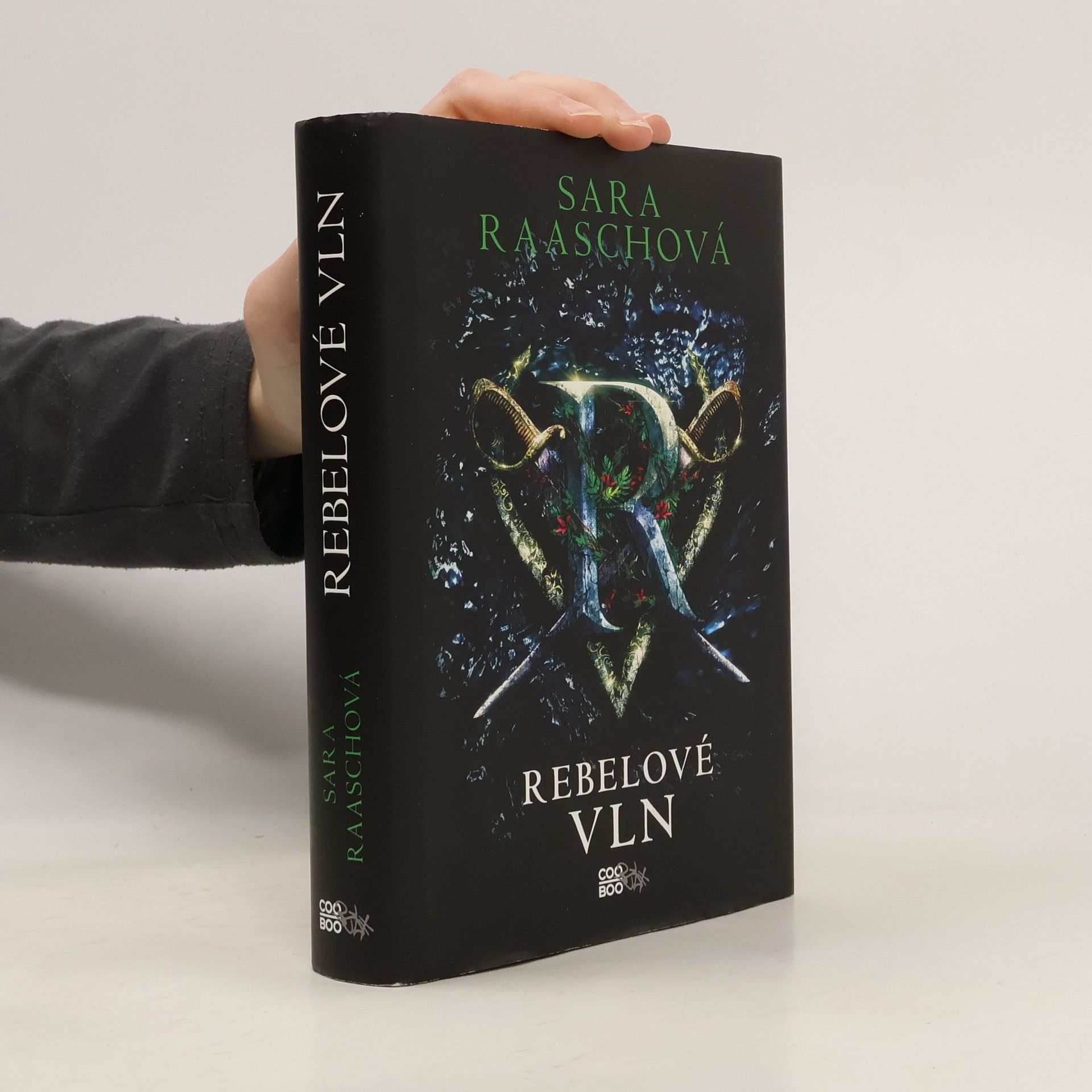 Sara Raasch Rebelové vln