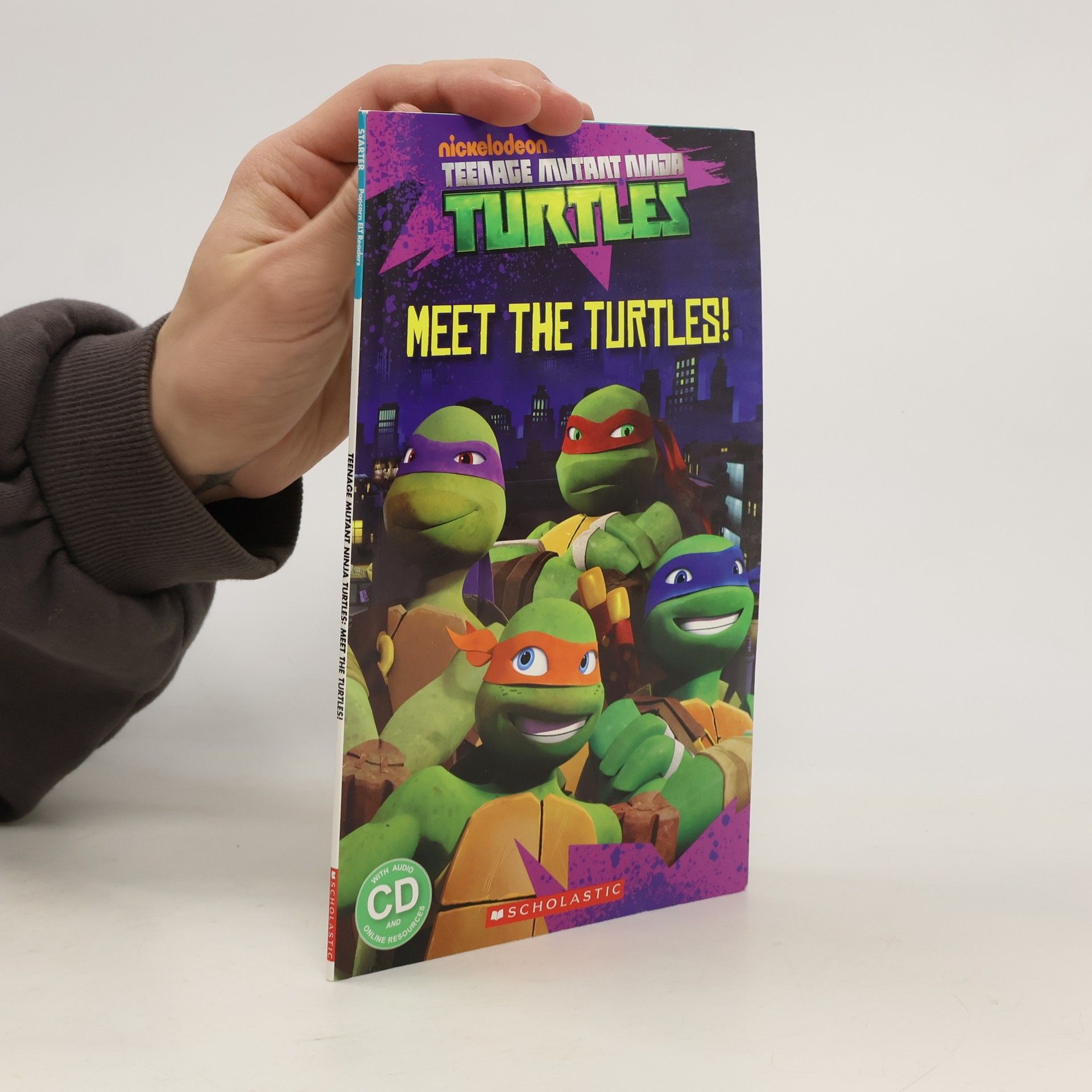 Fiona Davis Ninja Turtles Meet the Turtles!