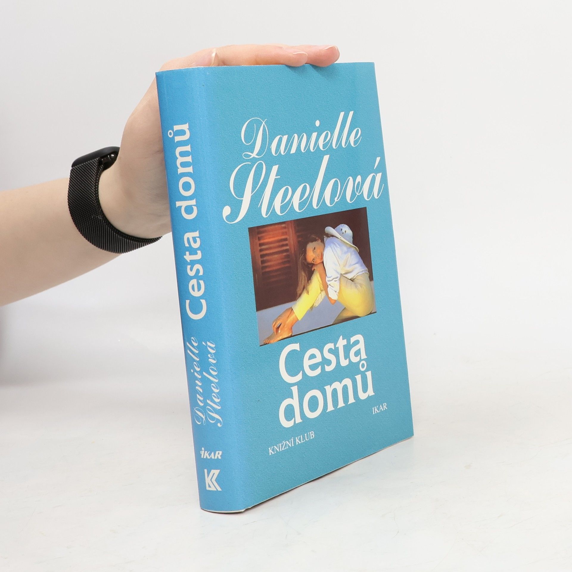 Danielle Steel Cesta domů