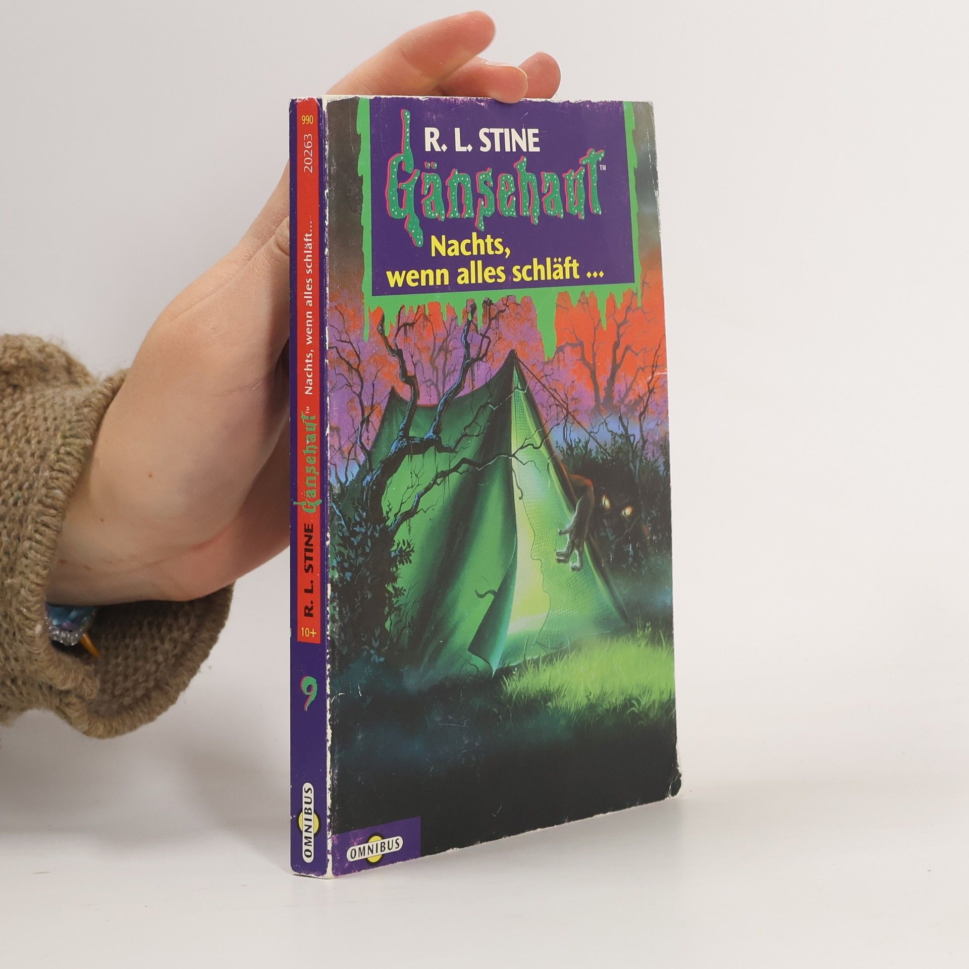 R. L. Stine Gänsehaut 9. Nachts, wenn alles schläft