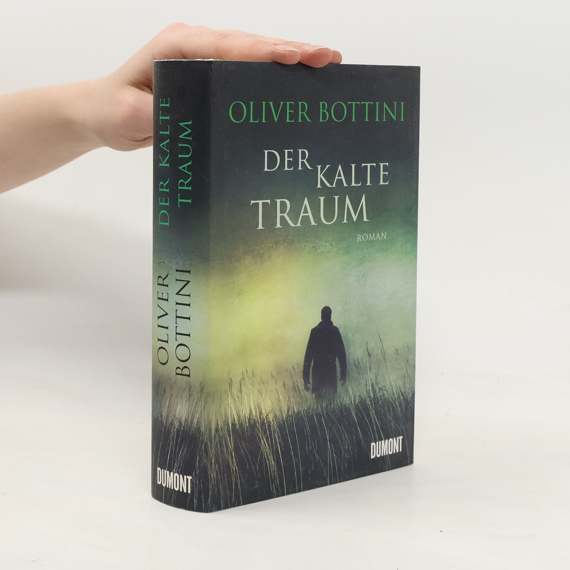 Oliver Bottini Der kalte Traum