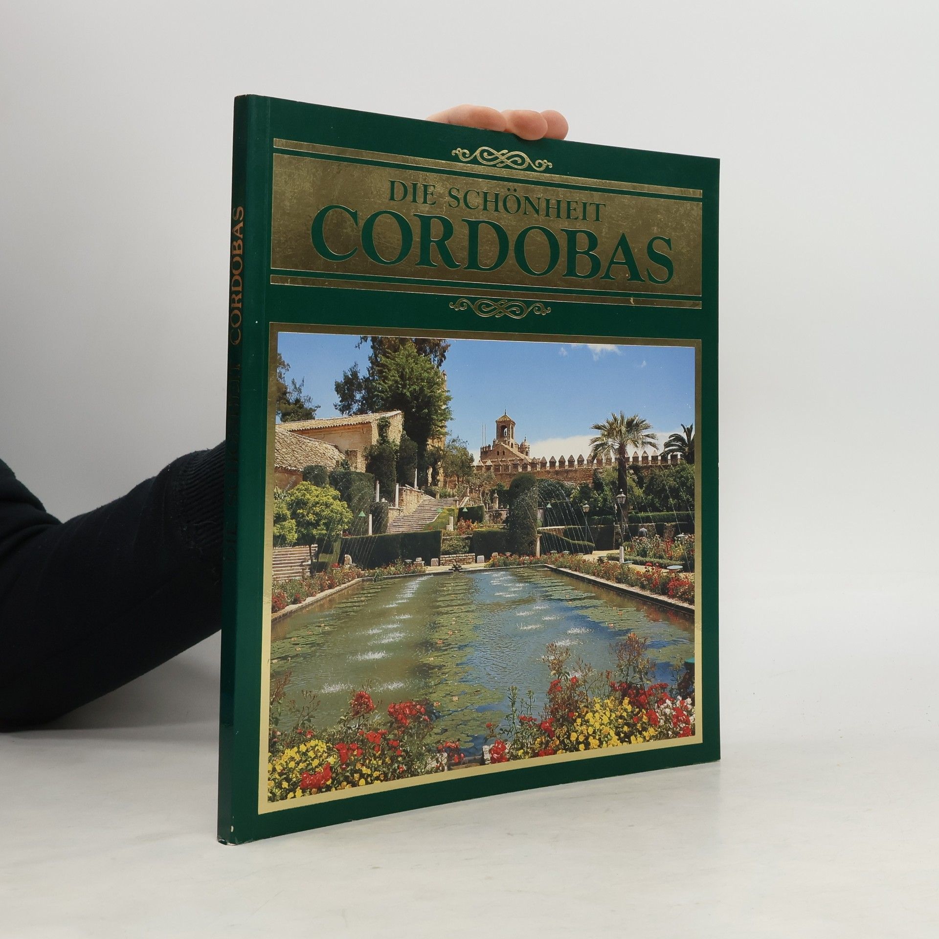 Manuel Salcines López Die Schönheit Cordobas