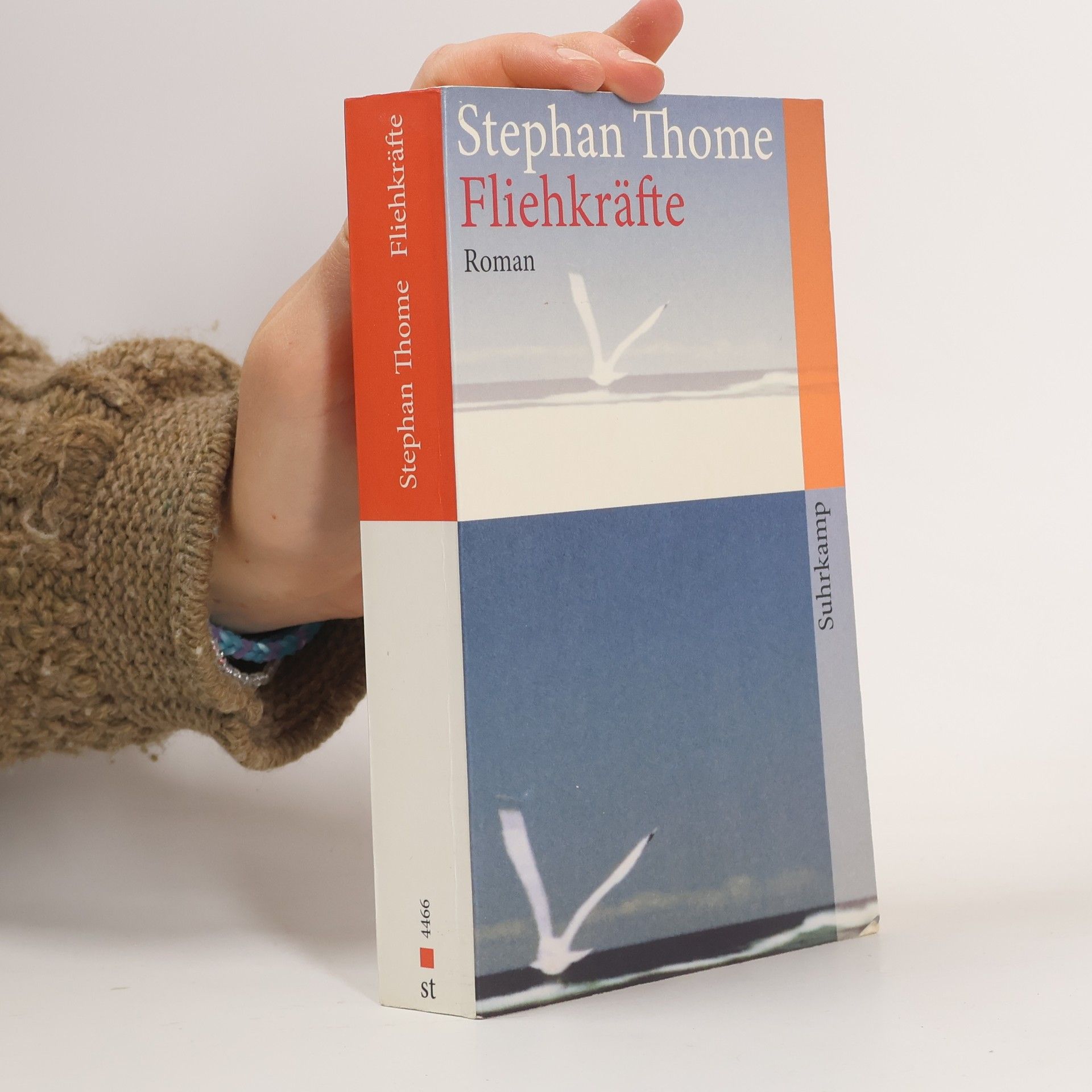 Fliehkräfte