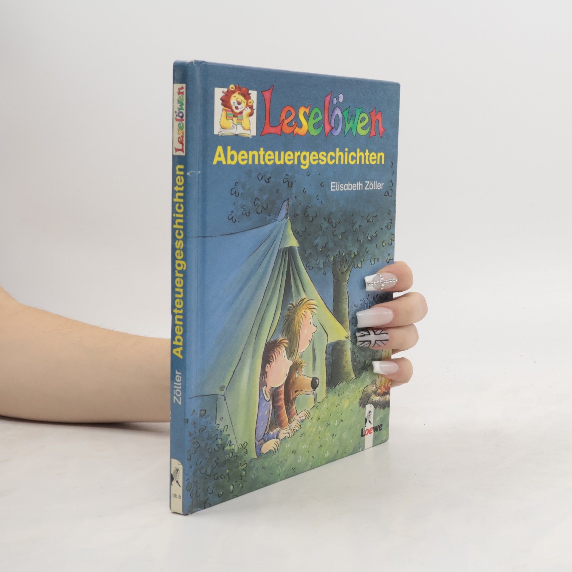 Leselöwen Abenteuergeschichten