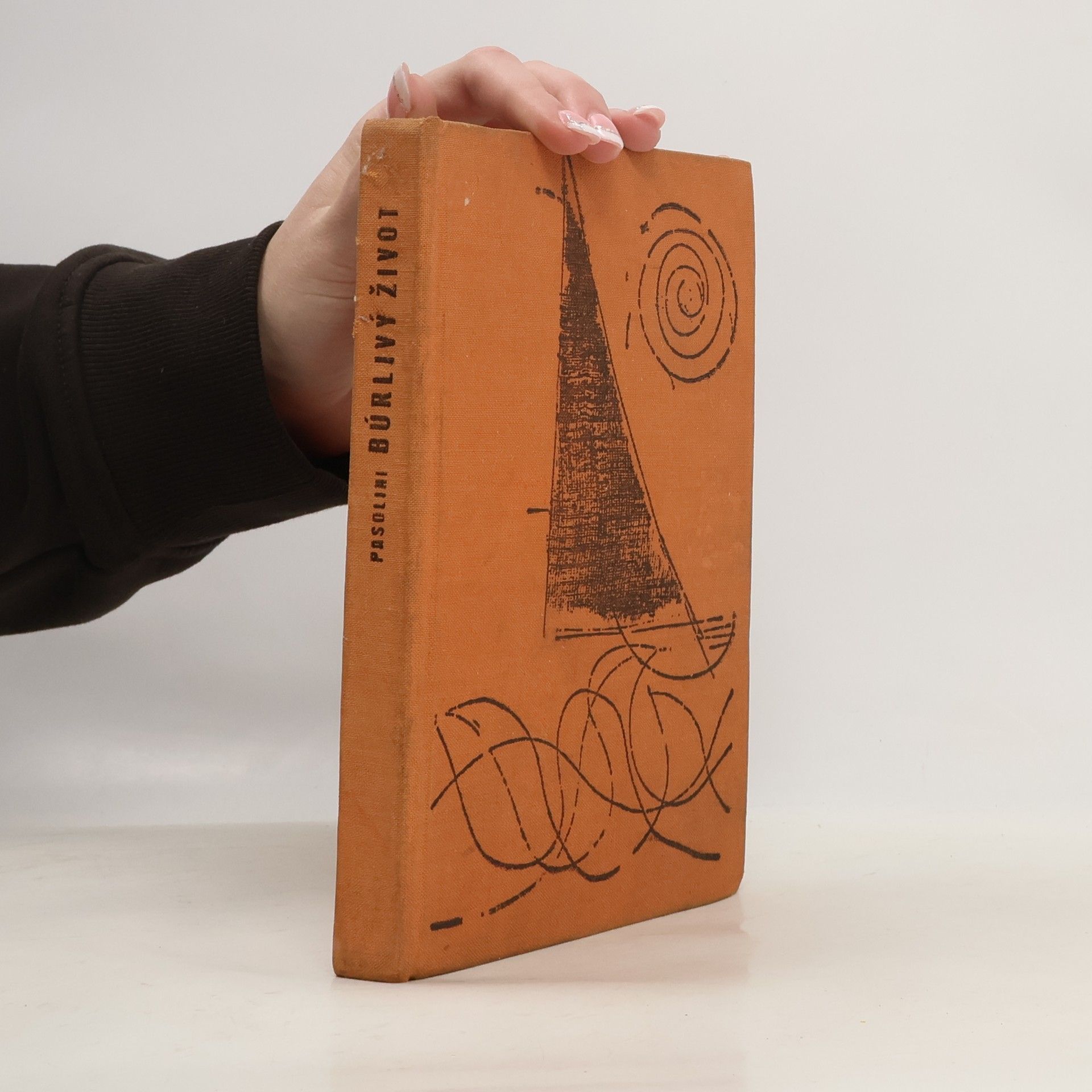 Pier Paolo Pasolini Búrlivý život