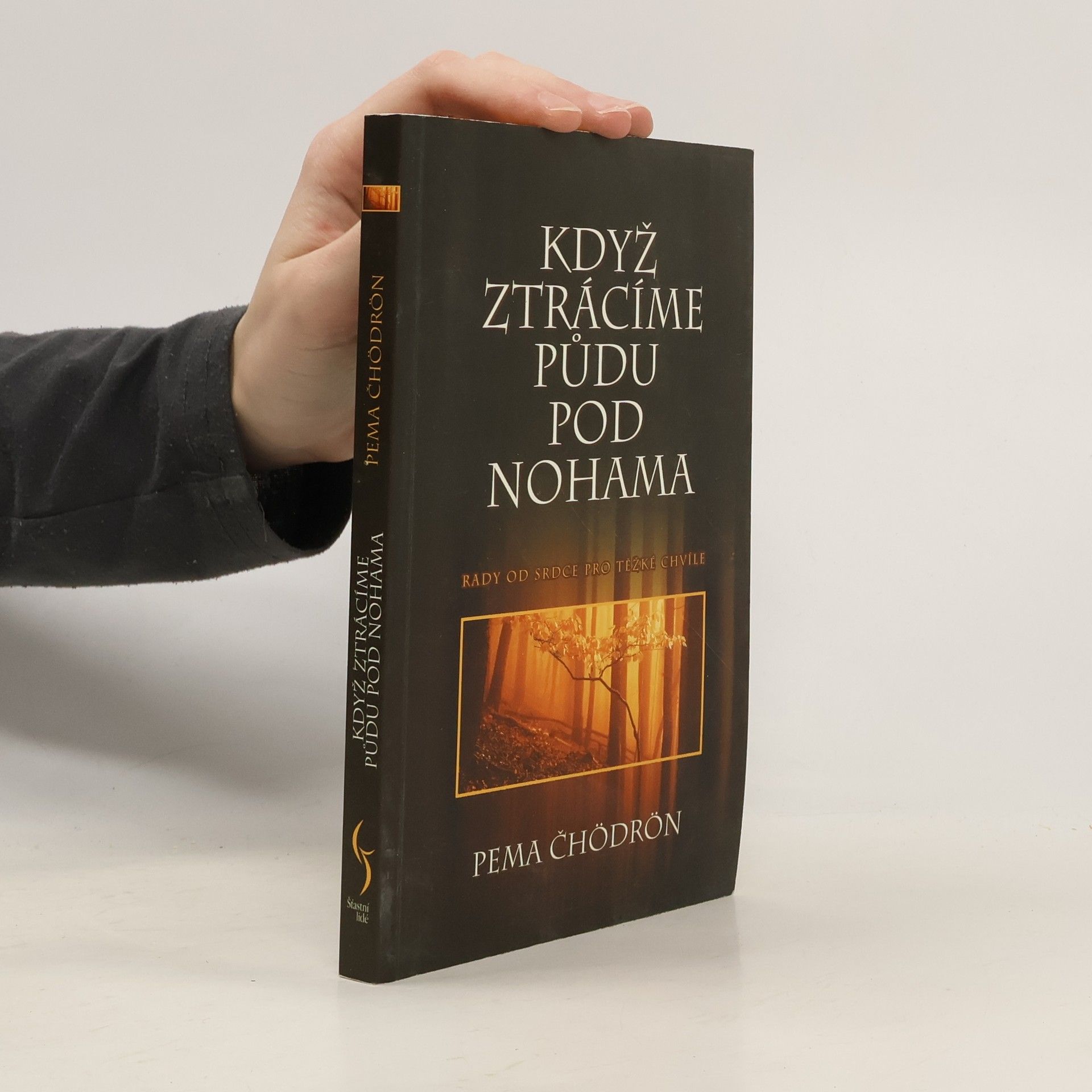 Pema Chödrön Když ztrácíme půdu pod nohama