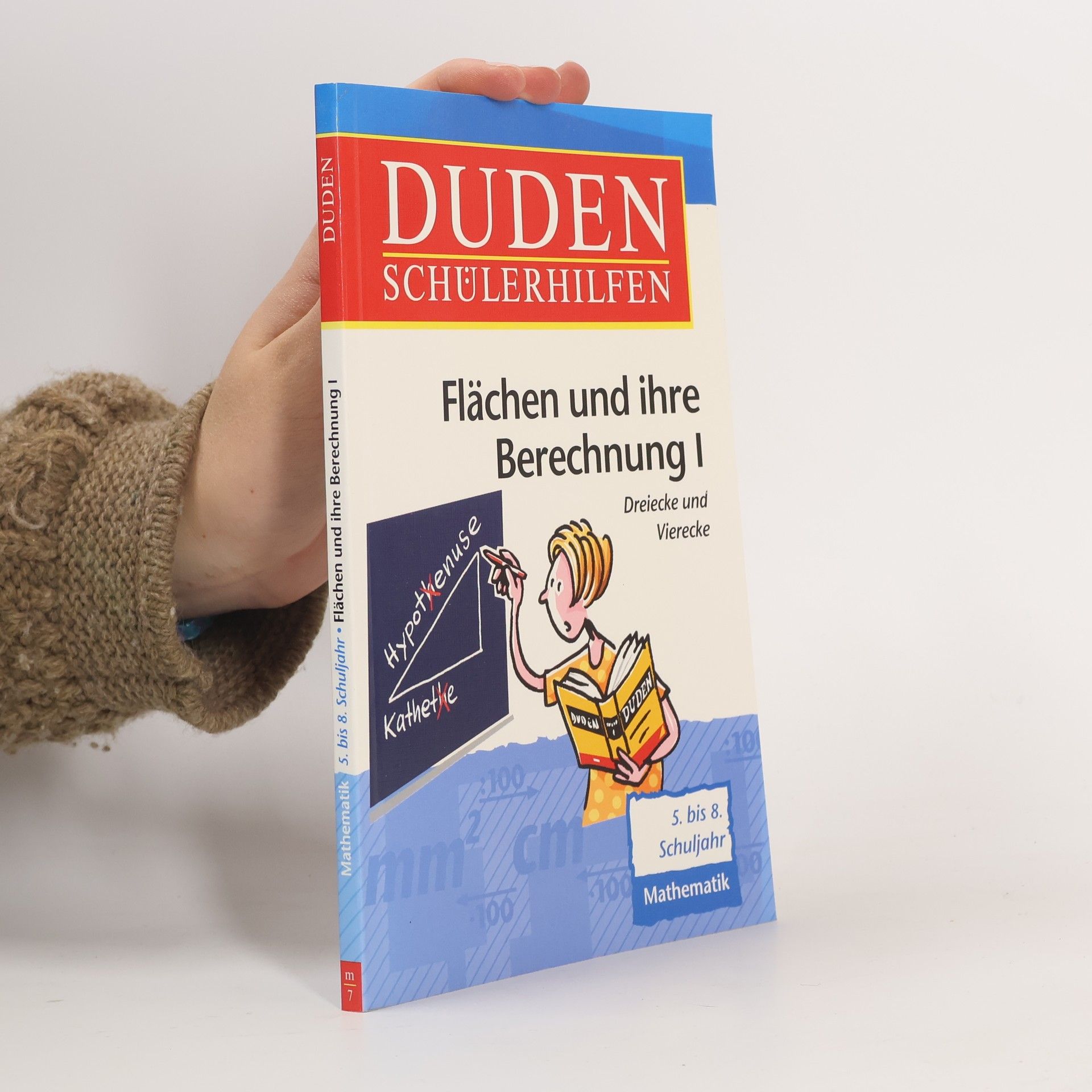 Hans Borucki Flächen und ihre Berechnung 1