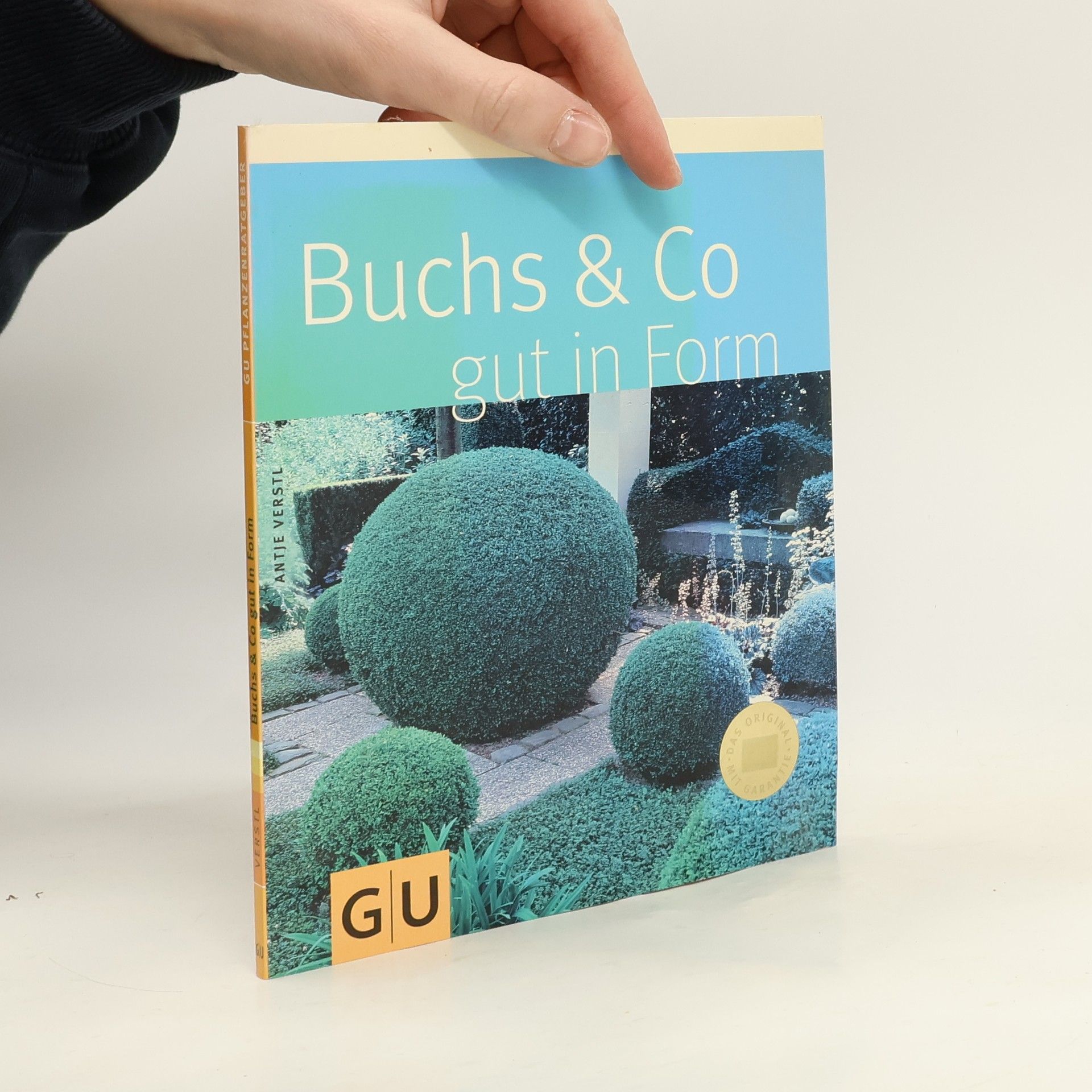 Antje Verstl Buchs & Co gut in Form