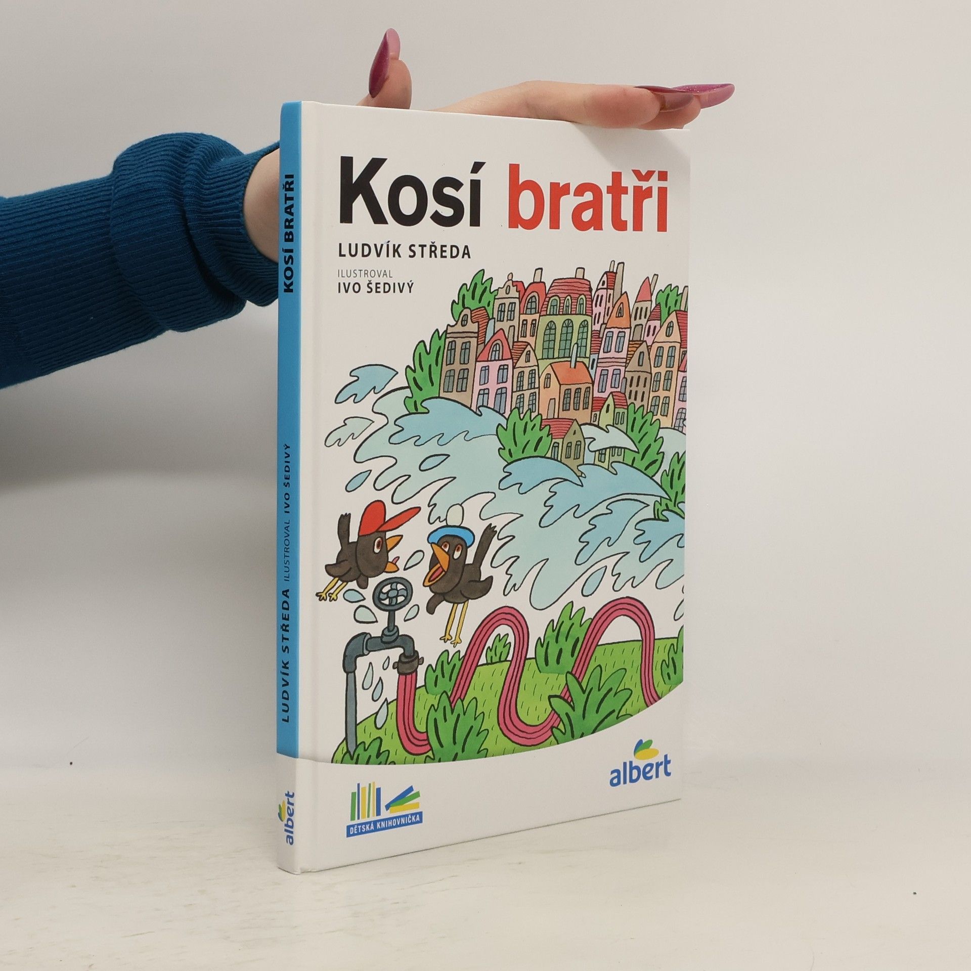 Ludvík Středa Kosí bratři