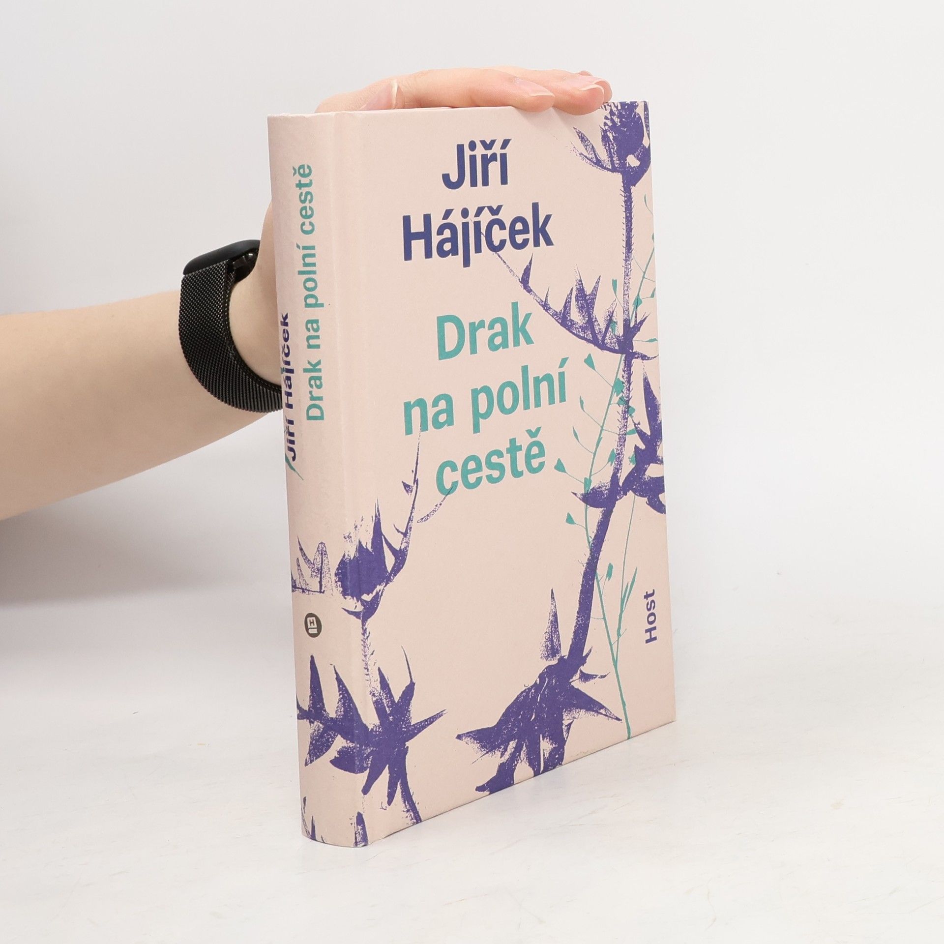 Jiří Hájíček Drak na polní cestě